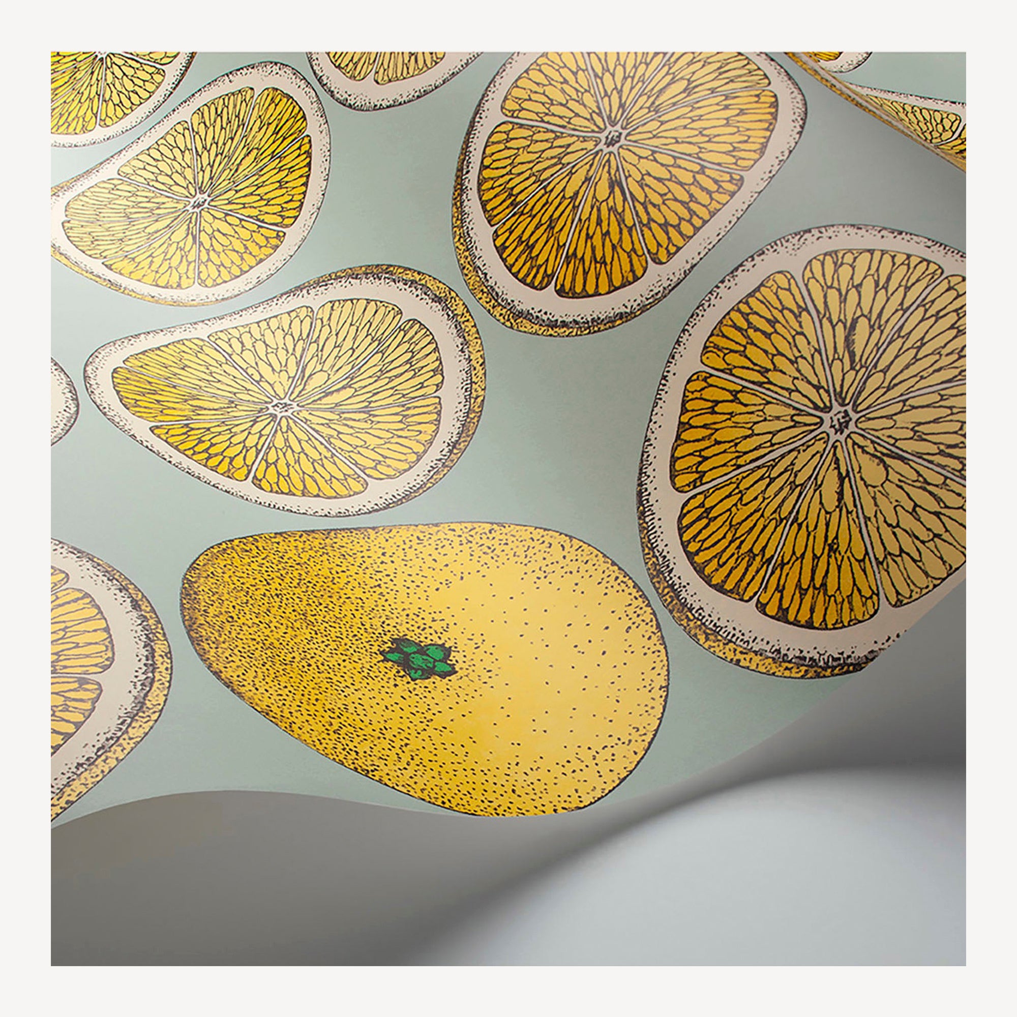 Carta da parati Arance 