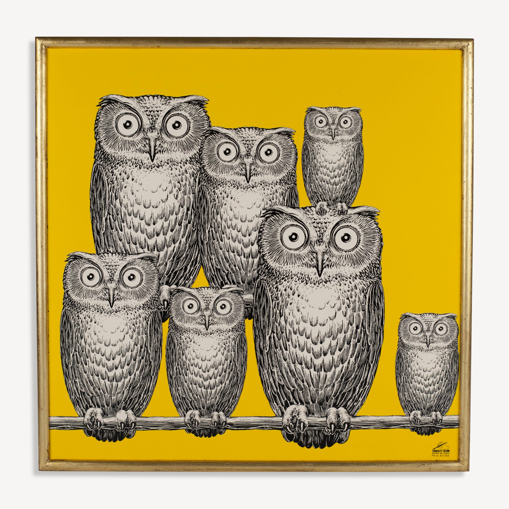 Panel Riunione di Civette