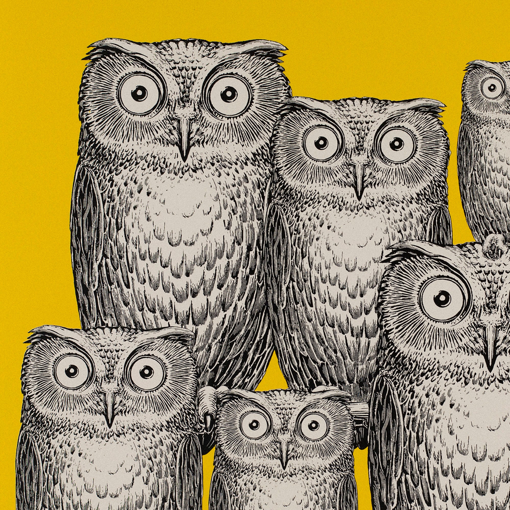 Panel Riunione di Civette