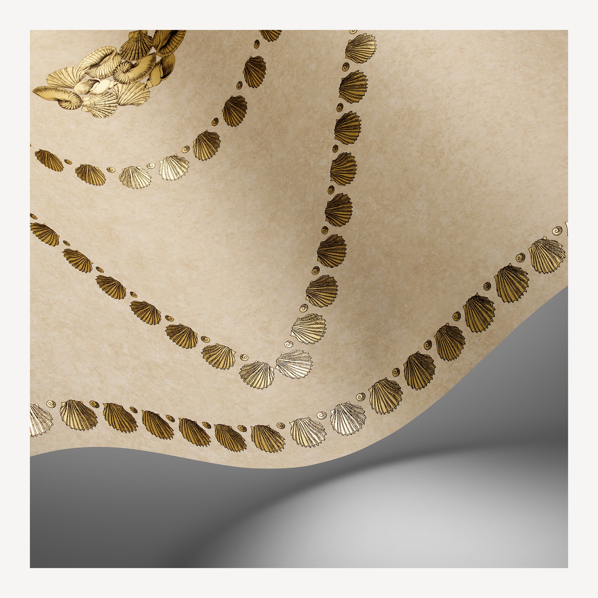 Wallpaper Conchiglie