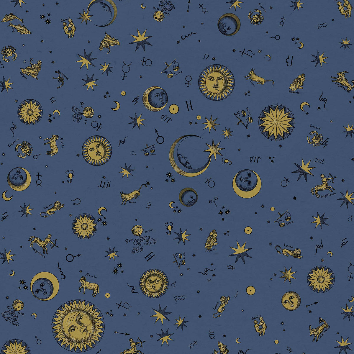 Gift Wrapping Paper Astronomici