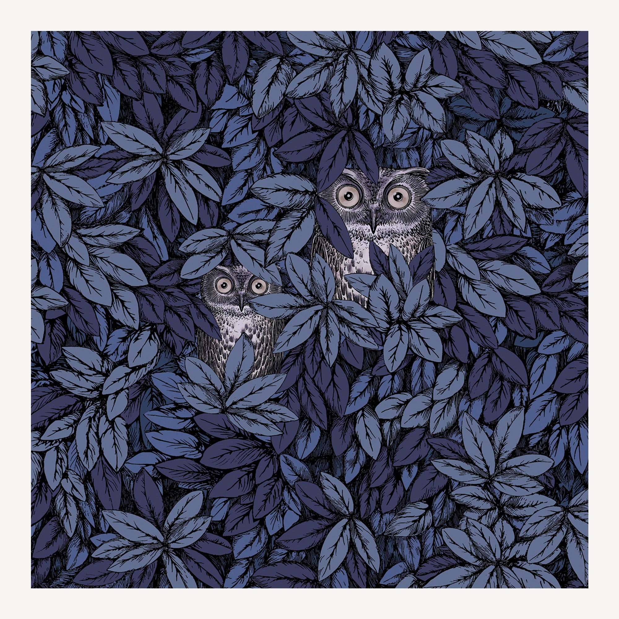 Wallpaper Foglie e Civette