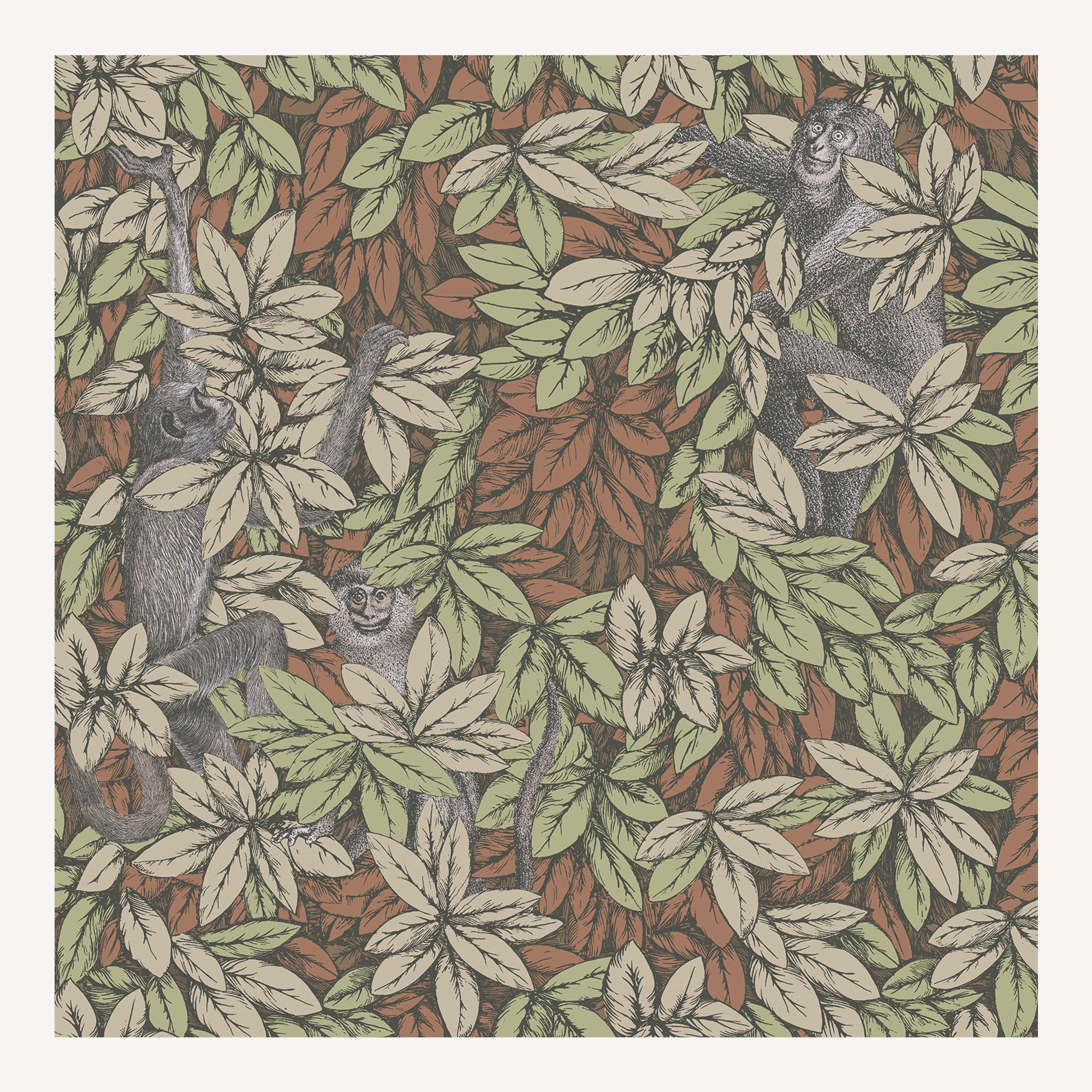 Wallpaper Foglie e Scimmie