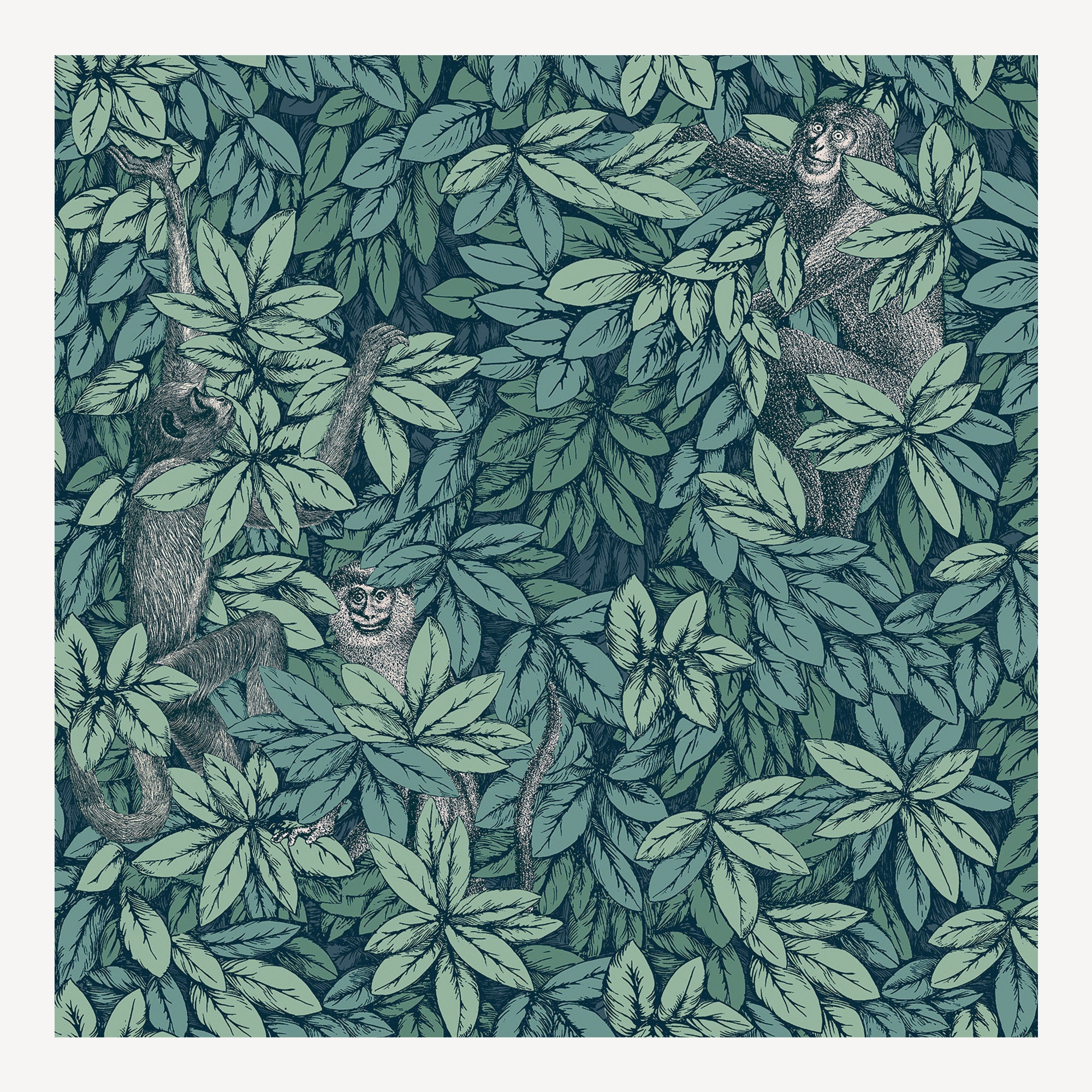 Wallpaper Foglie e Scimmie