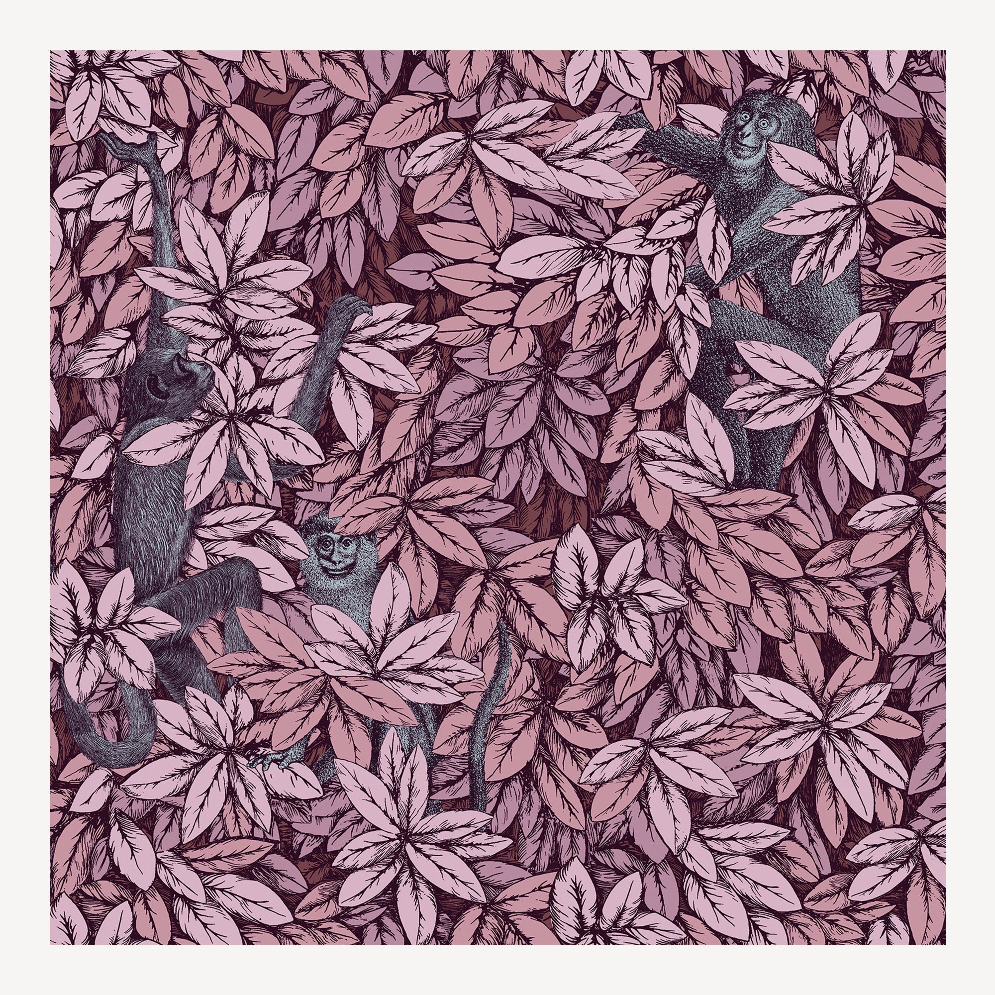 Wallpaper Foglie e Scimmie