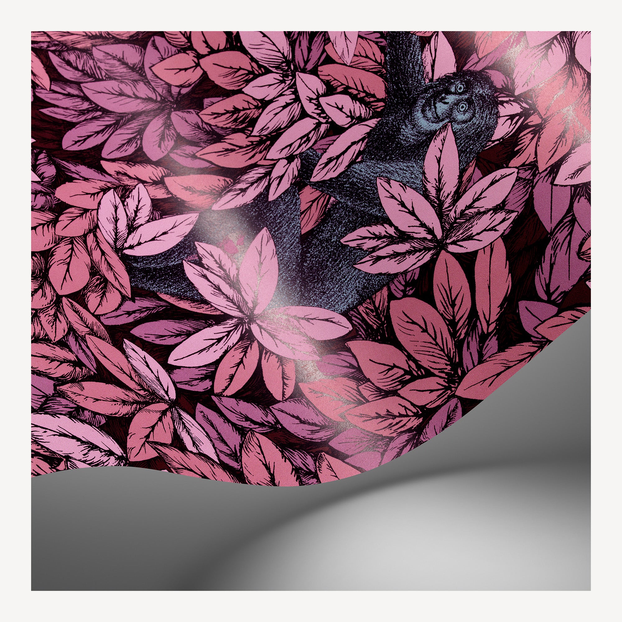 Papier peint Foglie e Scimmie