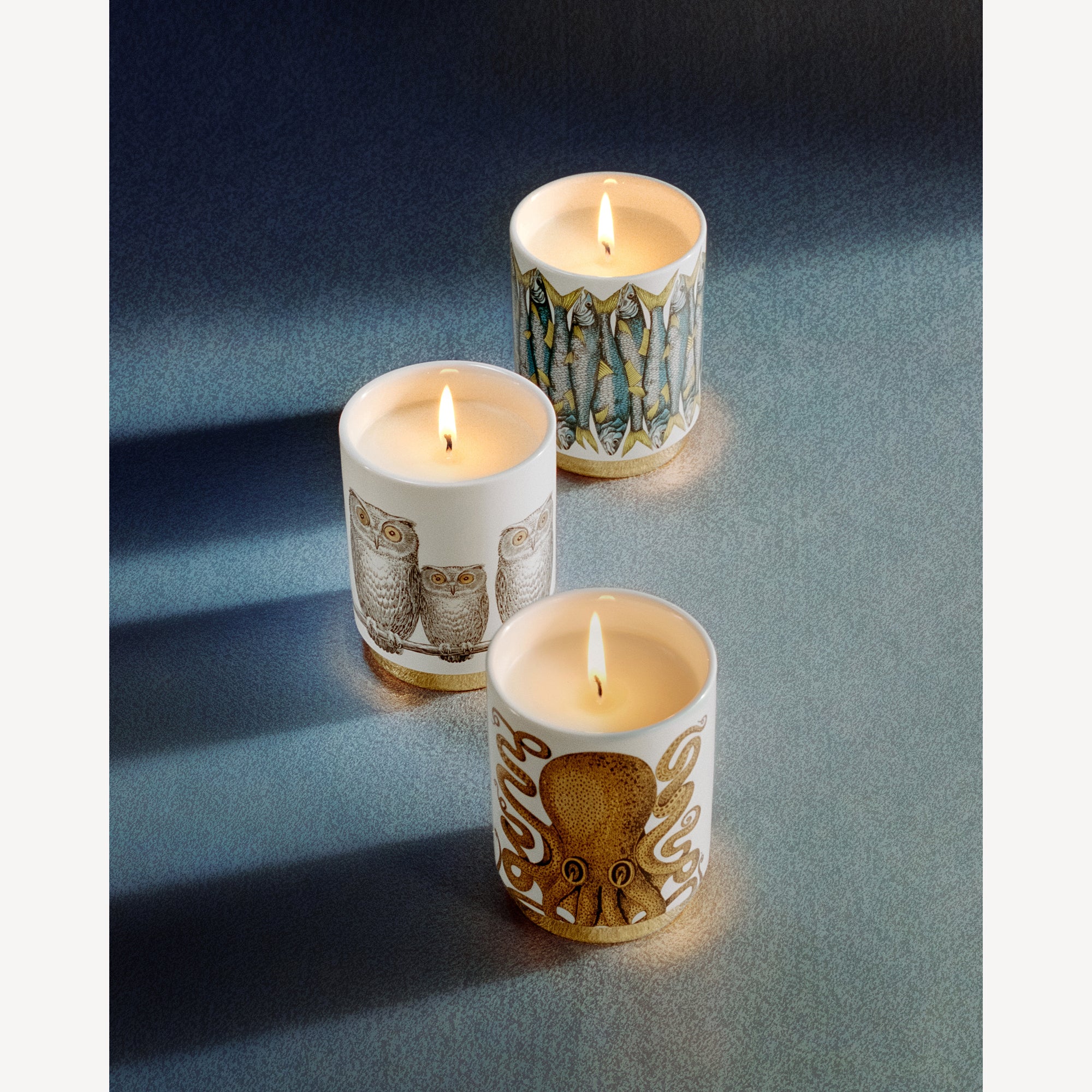Scented Candle Civette - Immaginazione fragrance | Fornasetti