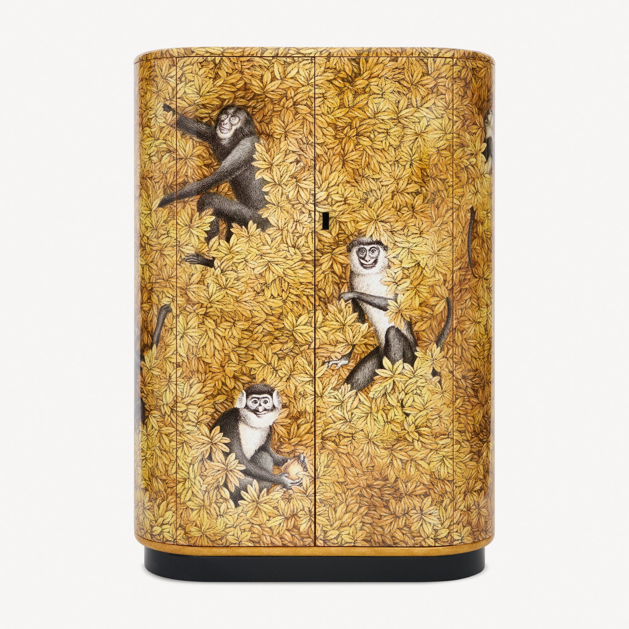 Stipo Scimmie e foglie