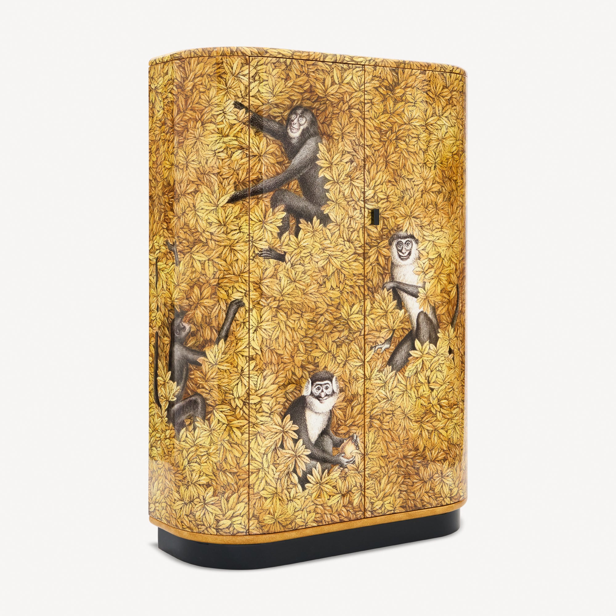 Stipo Scimmie e foglie