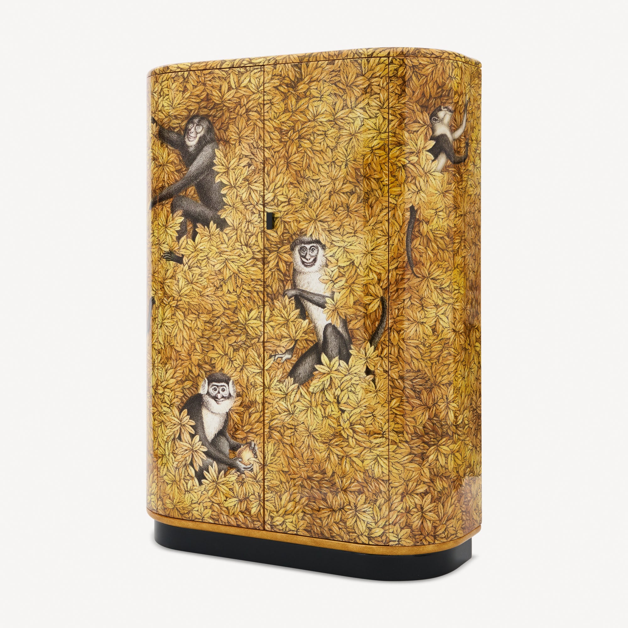 Stipo Scimmie e foglie