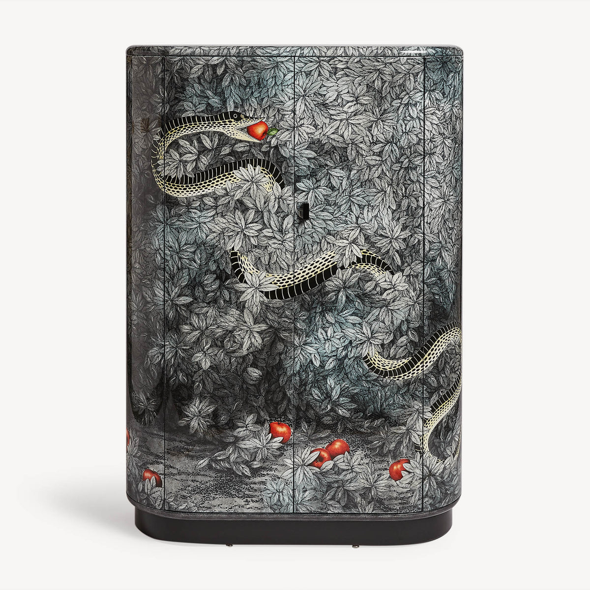 Front view of cabinet with snakes and foliage pattern