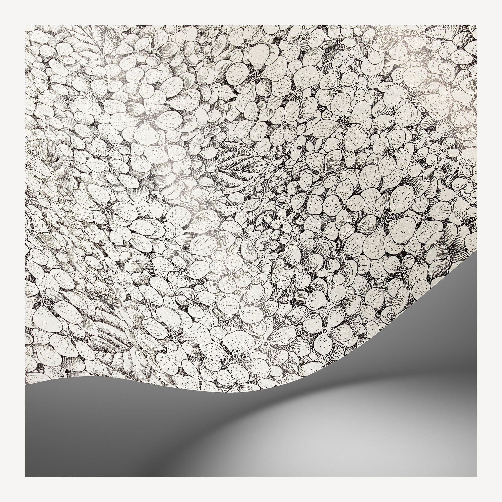 Carta da parati Ortensia