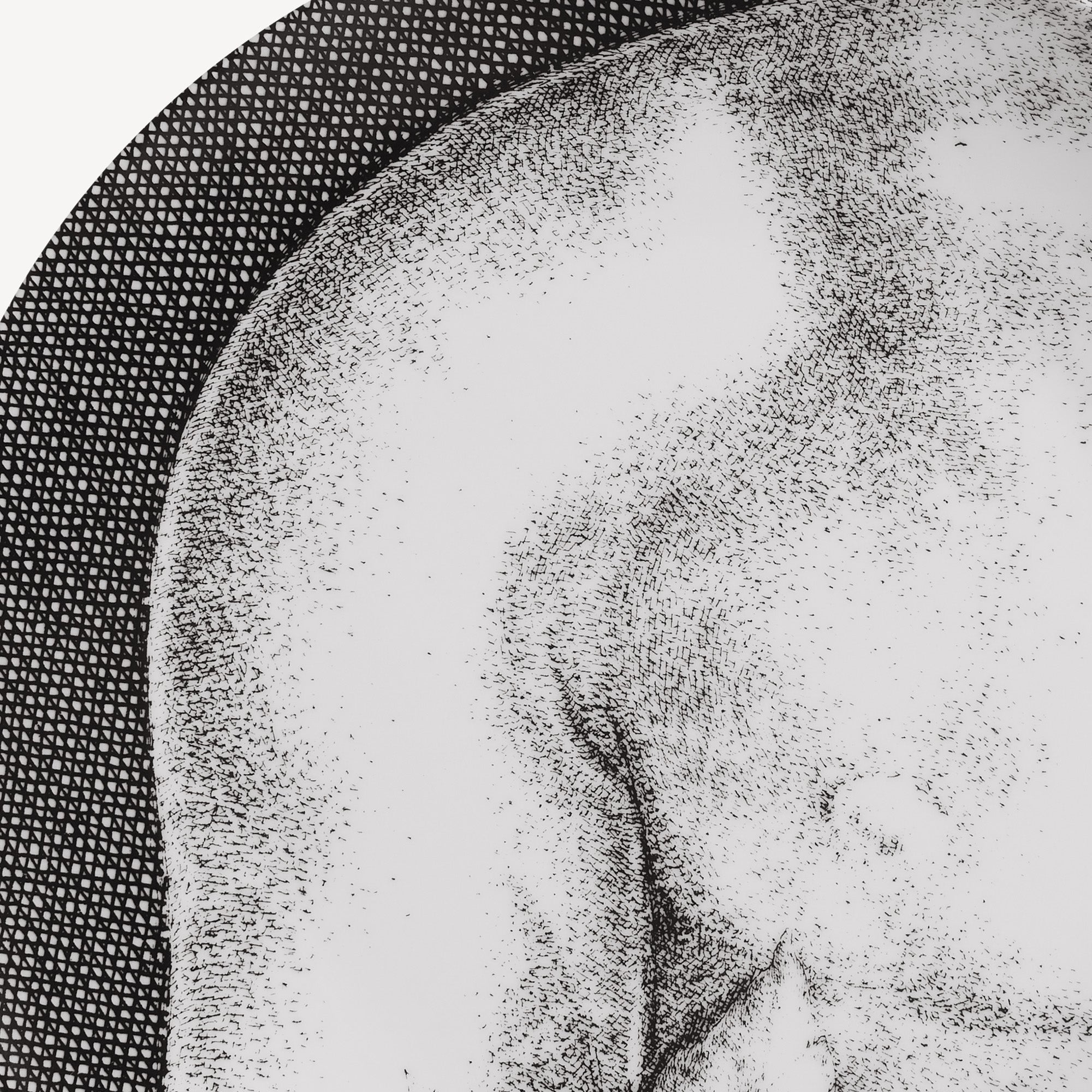 Service 12 Assiettes Adamo 