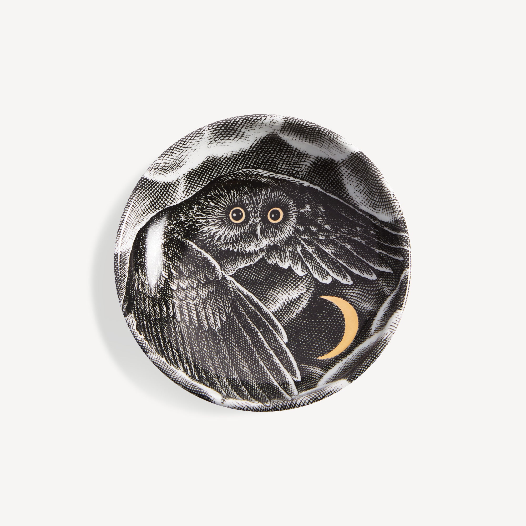 Cendrier Civetta nella notte 