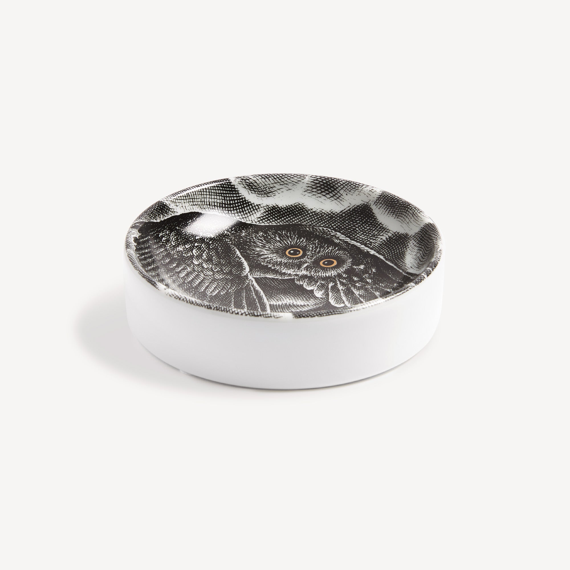 Cendrier Civetta nella notte 