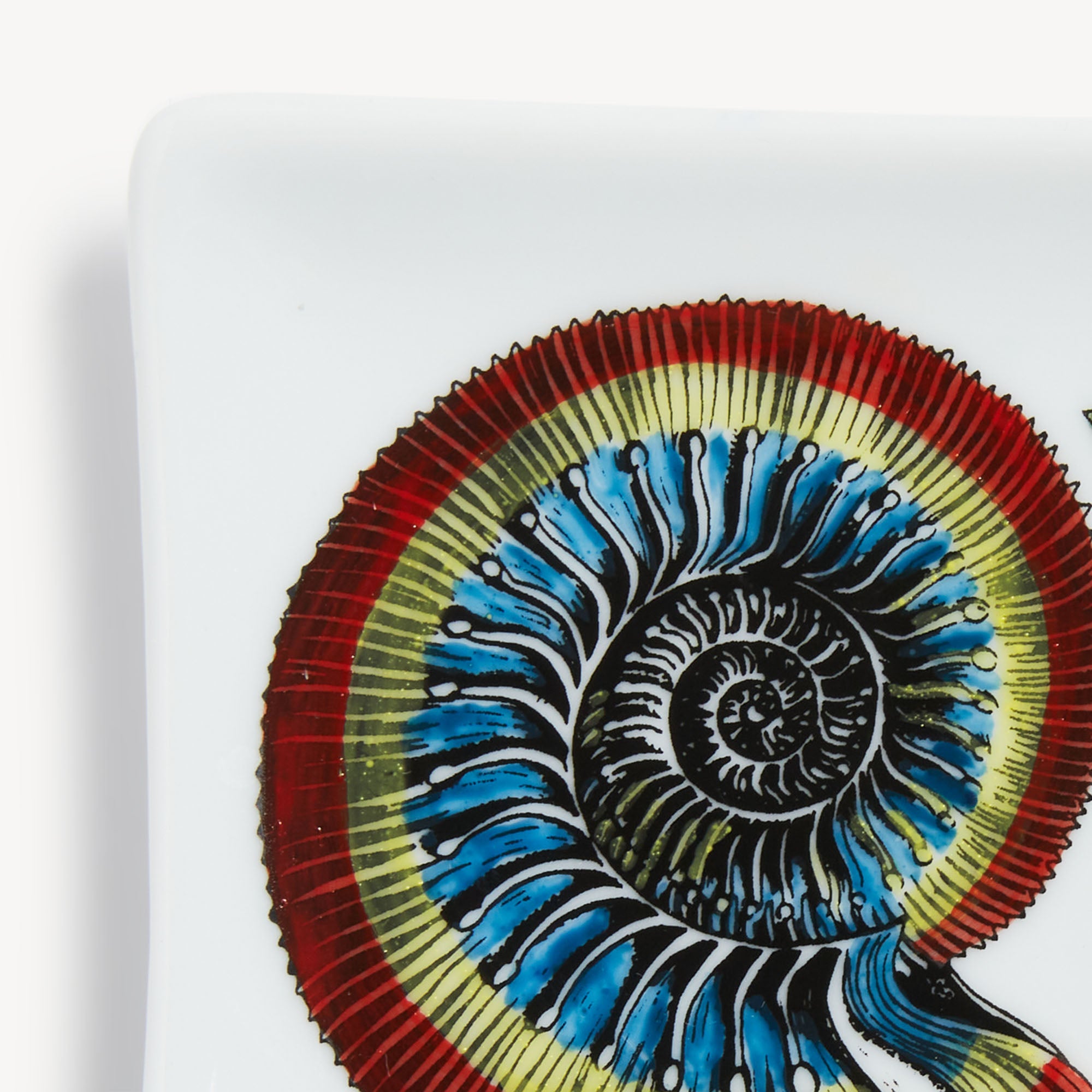 Posacenere rettangolare Giro di Conchiglie