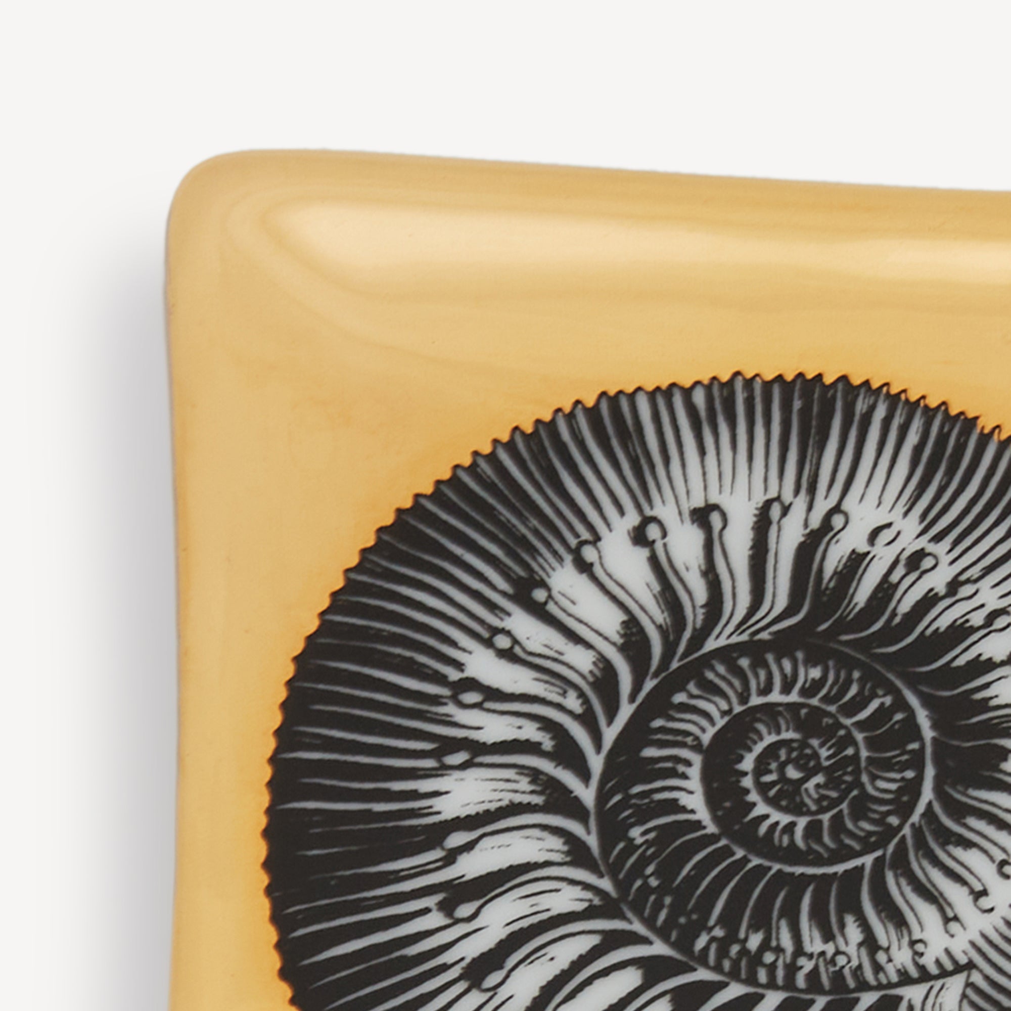 Rectangular Ashtray Giro di Conchiglie