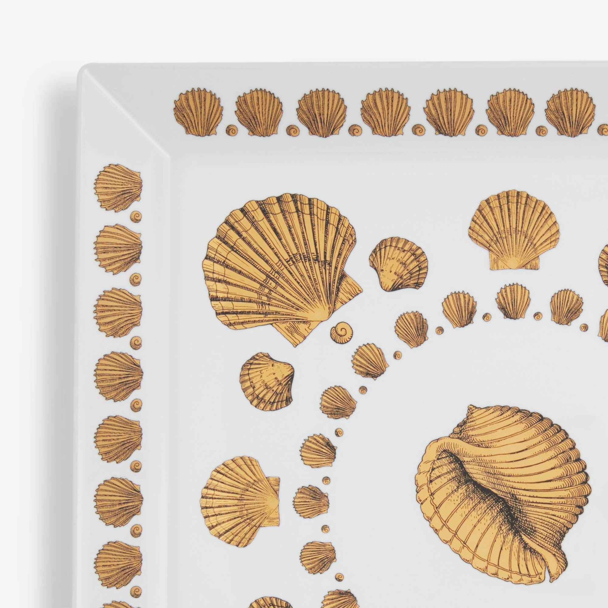 Square Tray Giro di Conchiglie