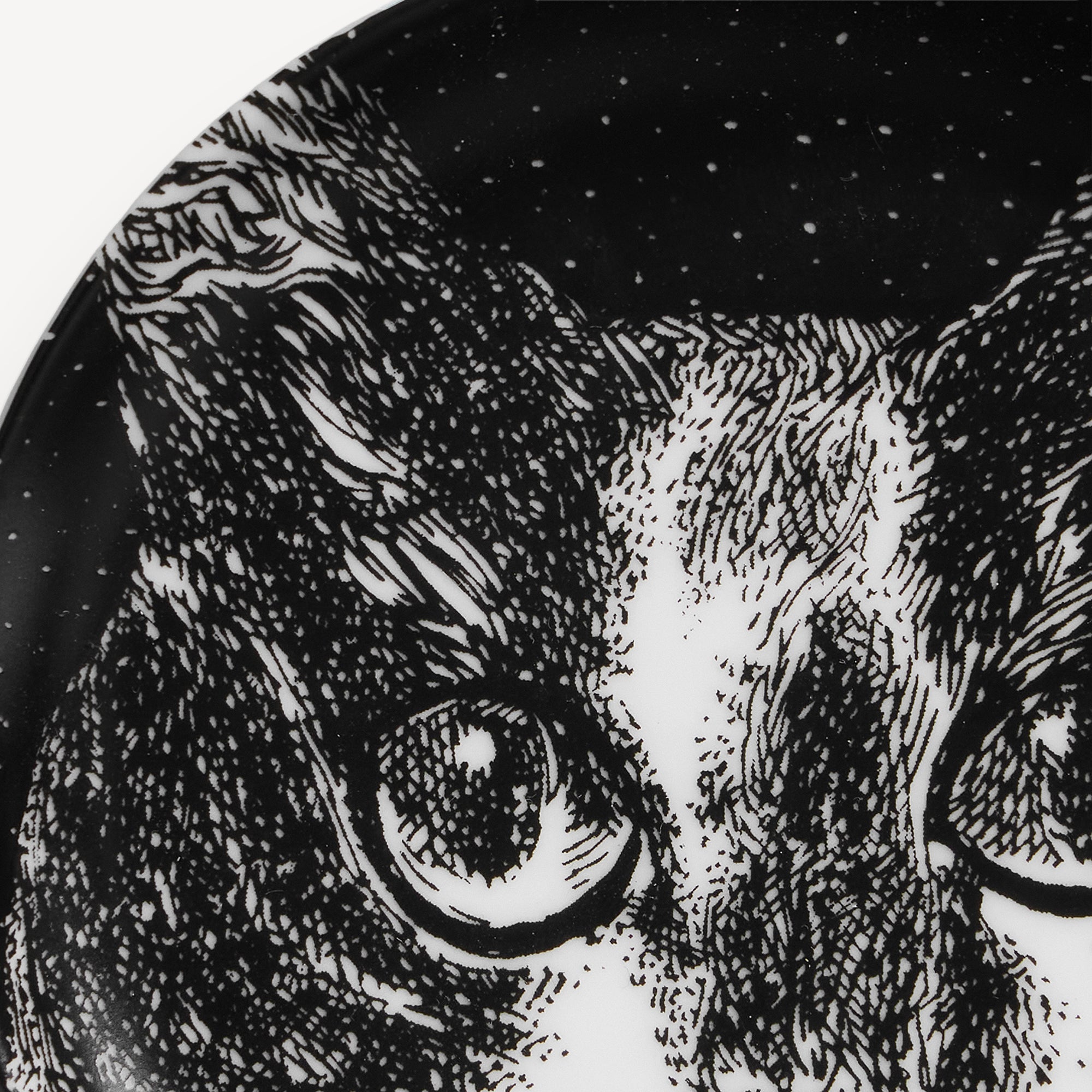 Decorative holder Gatti no.1 in White/Black | Fornasetti