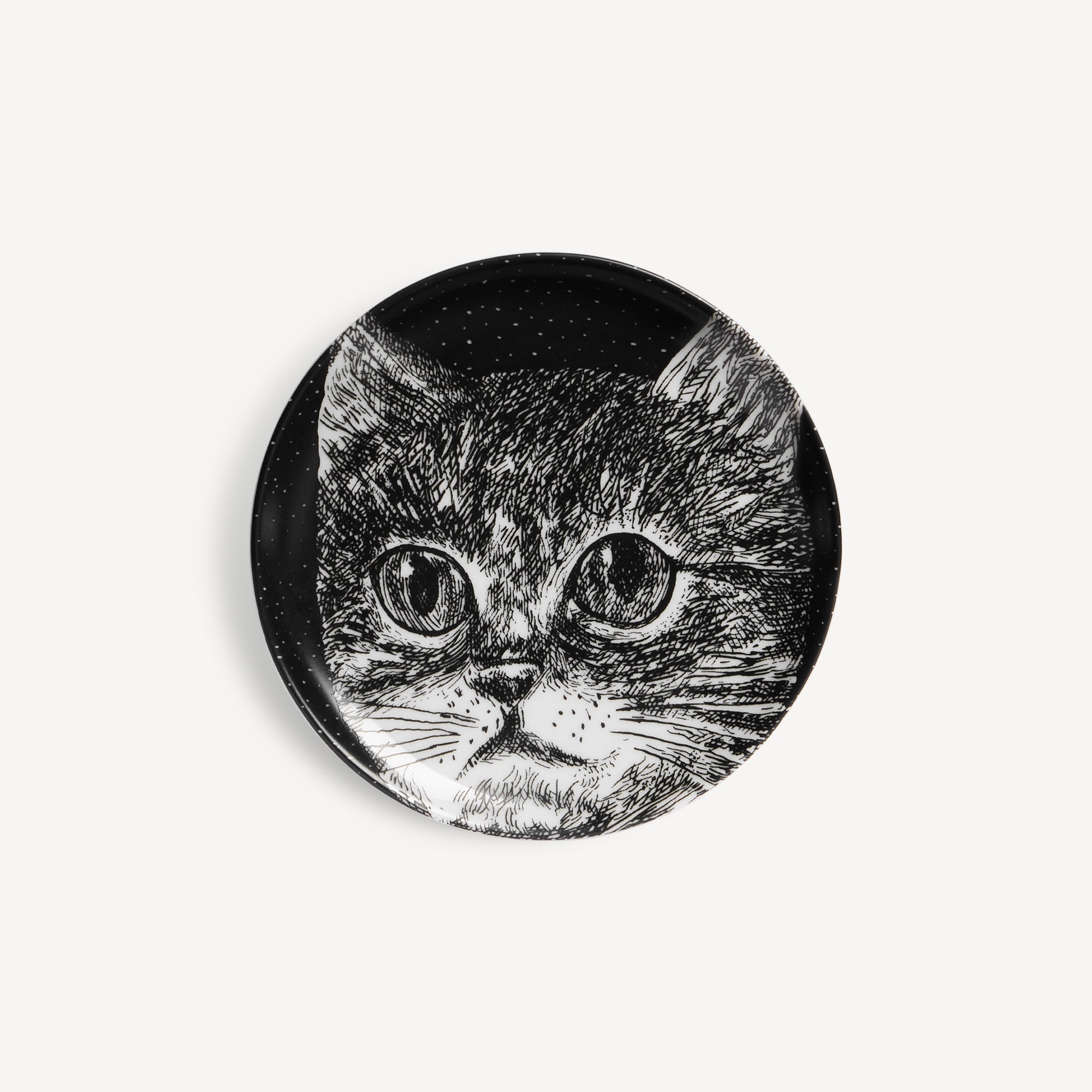 Portaoggetti decorativo Gatti n.4