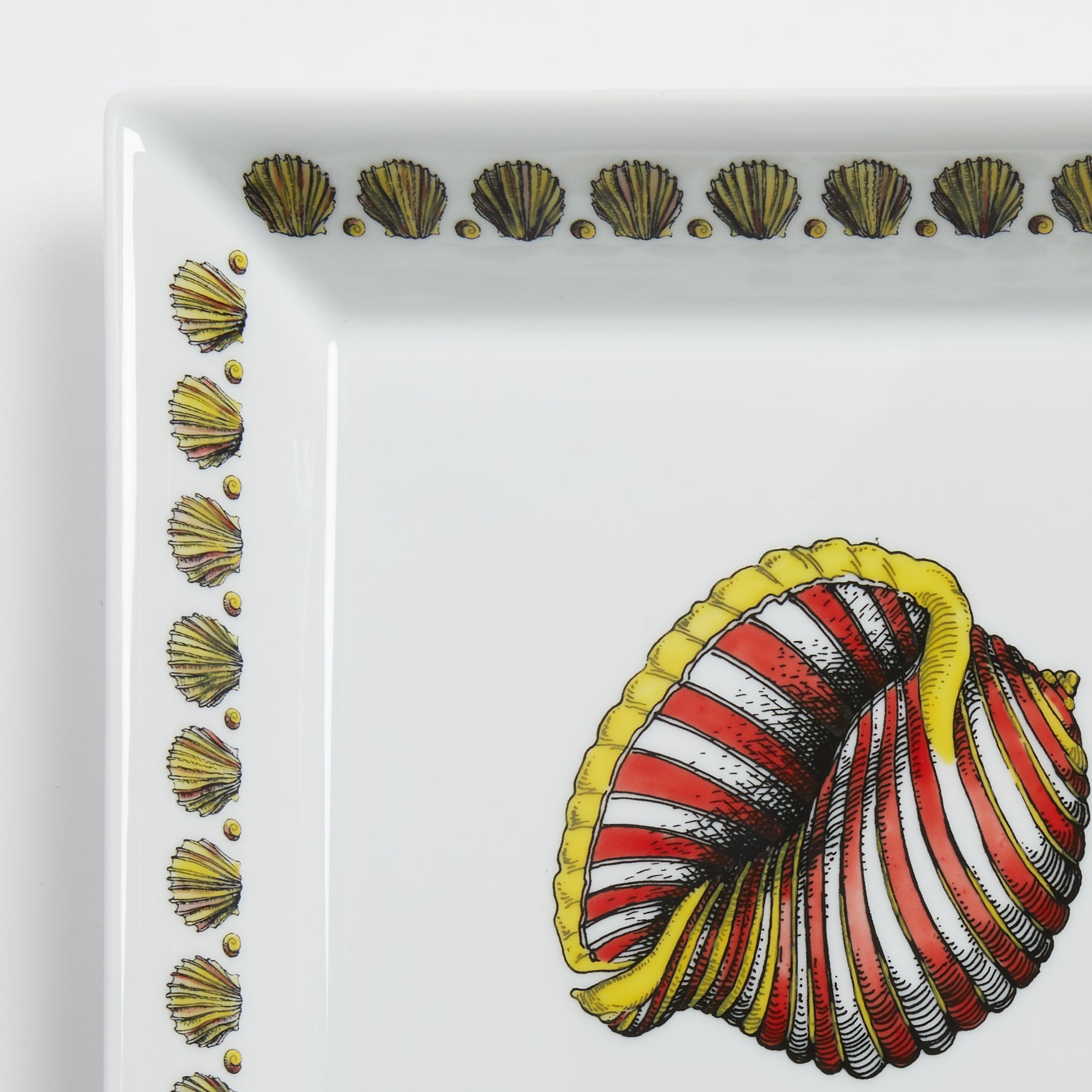 Square Vide-poche Giro di Conchiglie