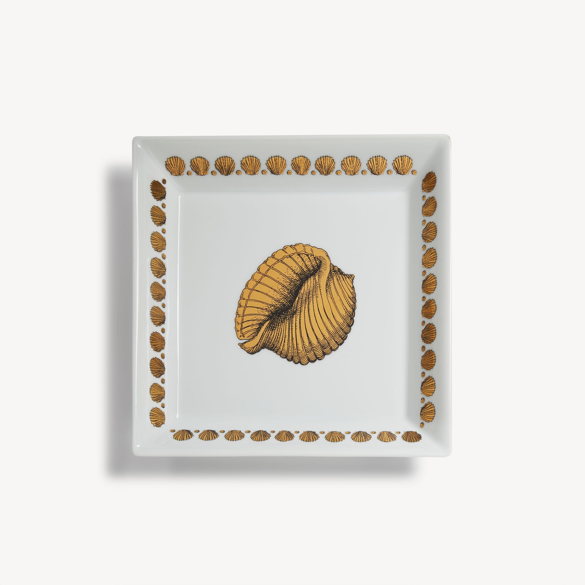 Vide-poche quadrato Giro di Conchiglie