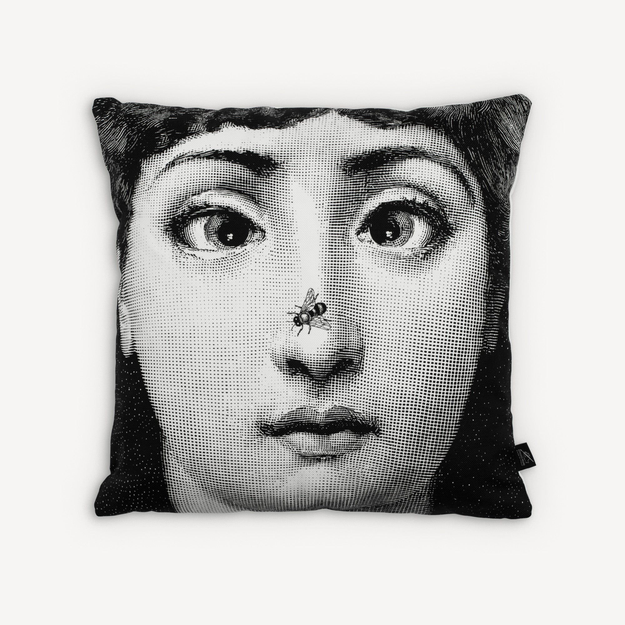 Tema e Variazioni Cushions – Fornasetti Store
