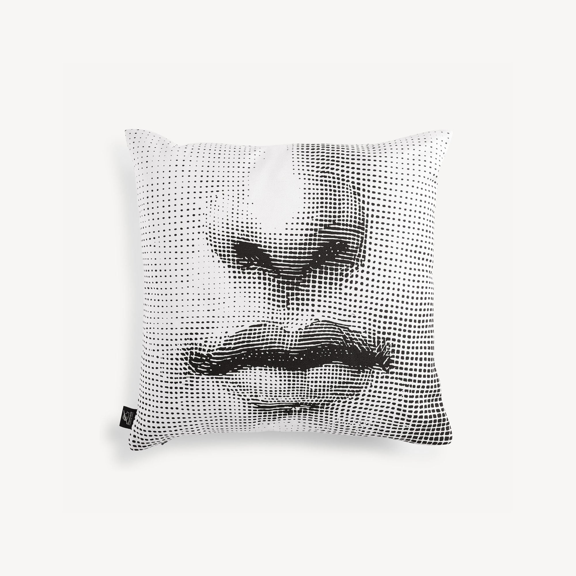 Cushion Tema e Variazioni n.397