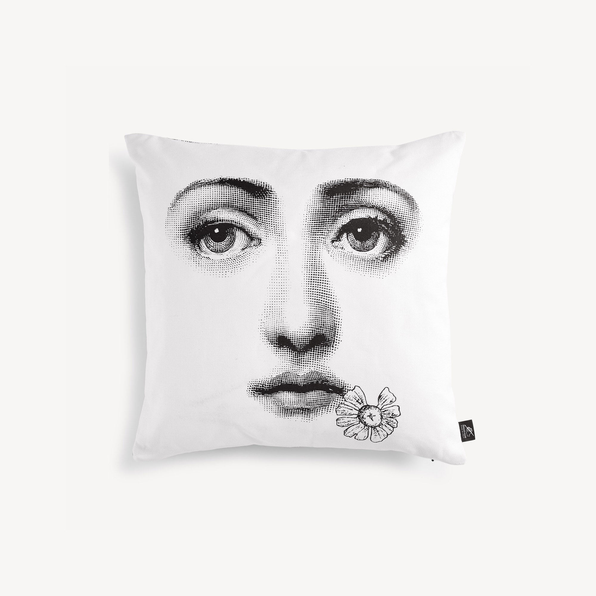 Cushion Tema e Variazioni n.288