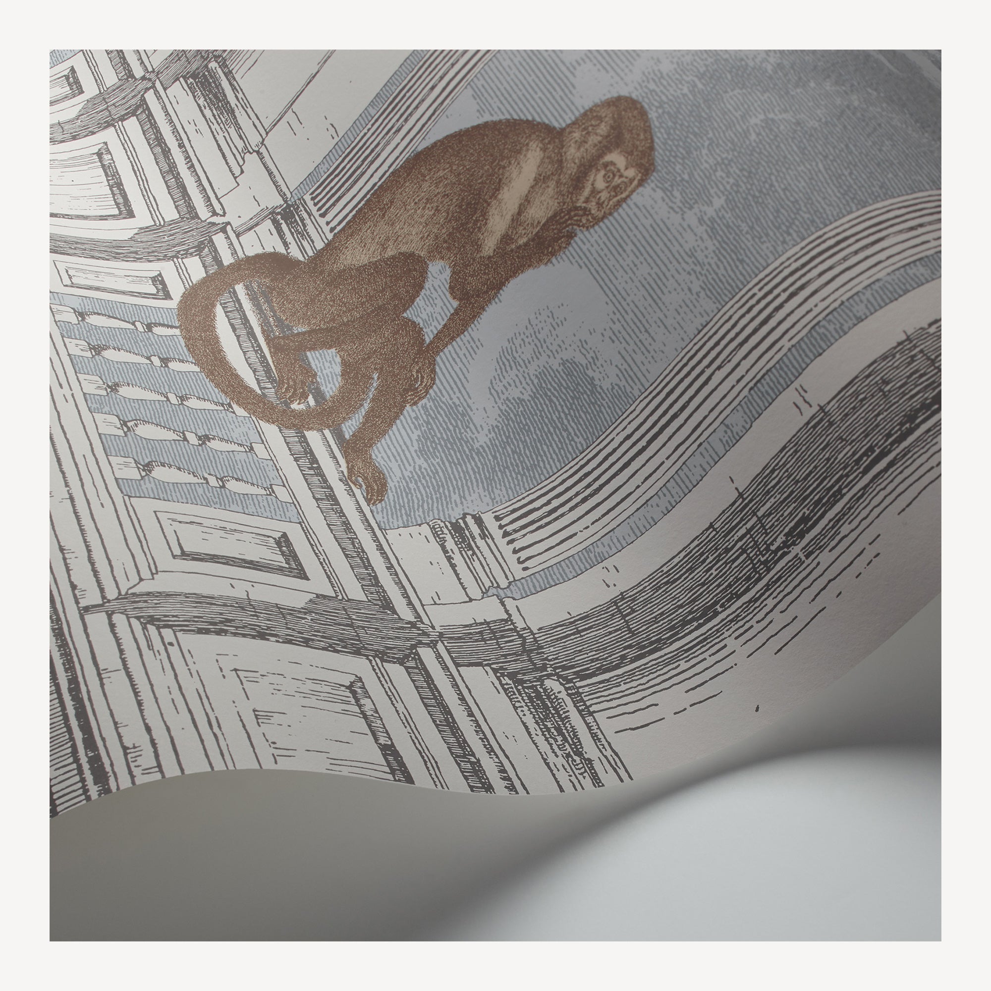 Wallpaper Procuratie con vista