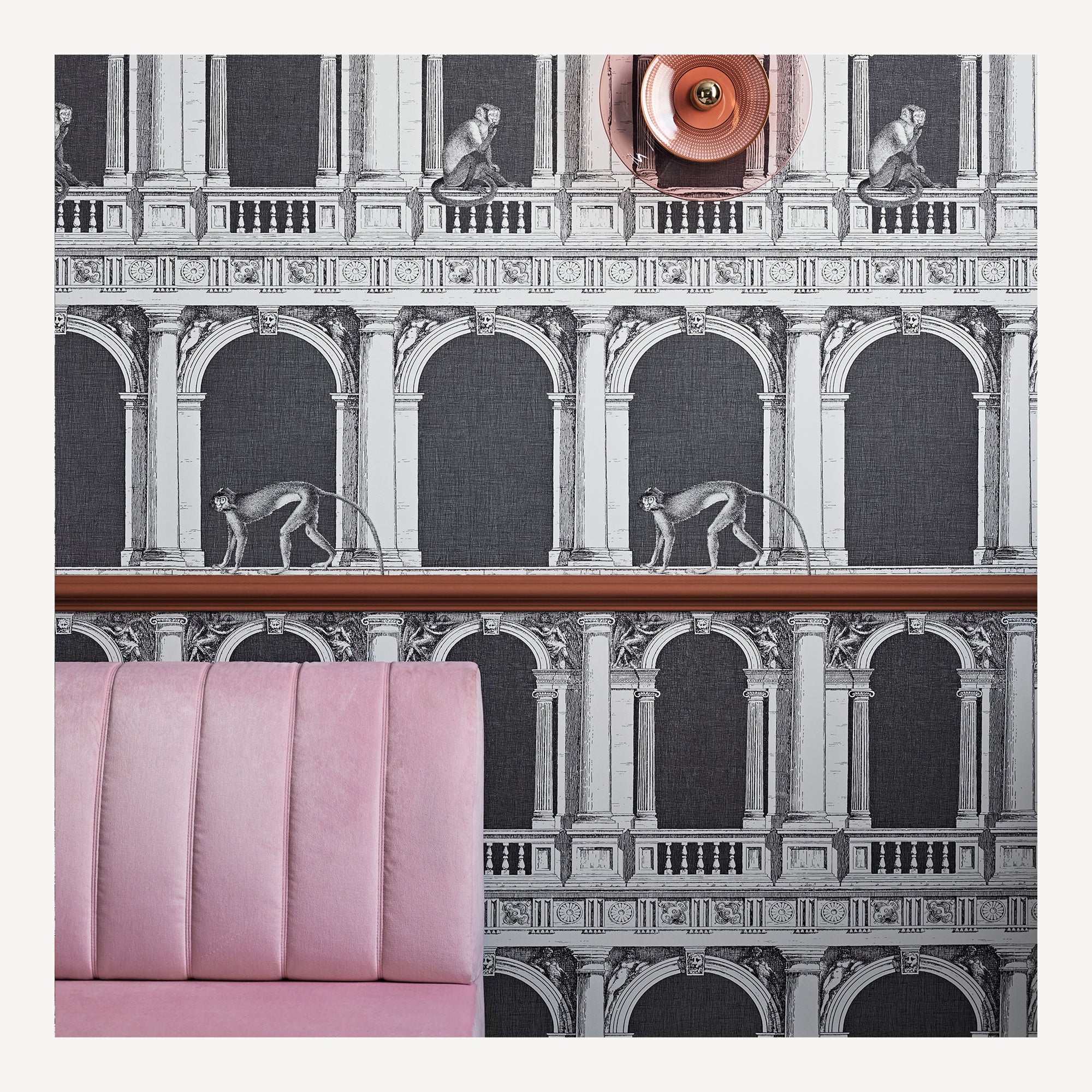 Wallpaper Procuratie e Scimmie