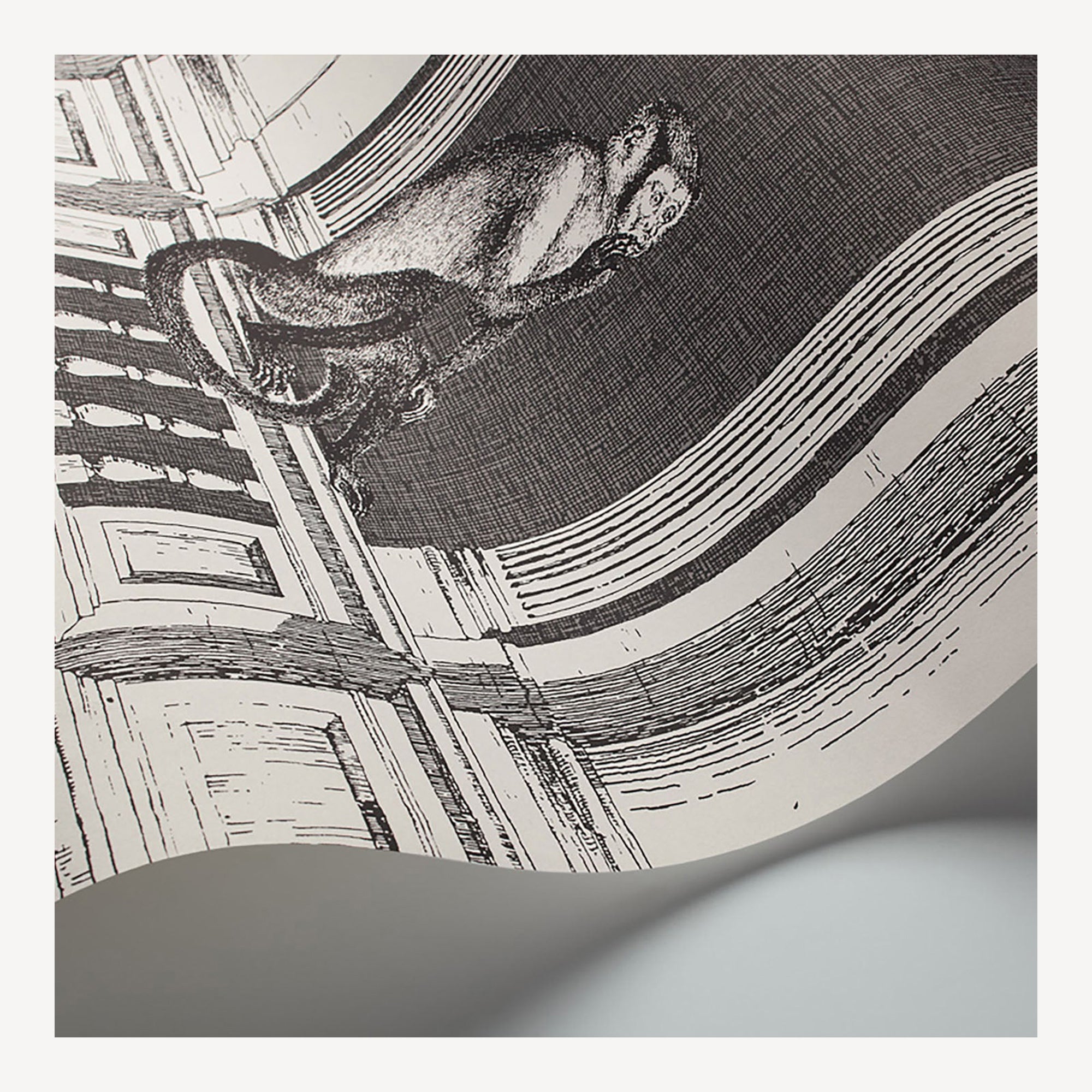 Wallpaper Procuratie e Scimmie