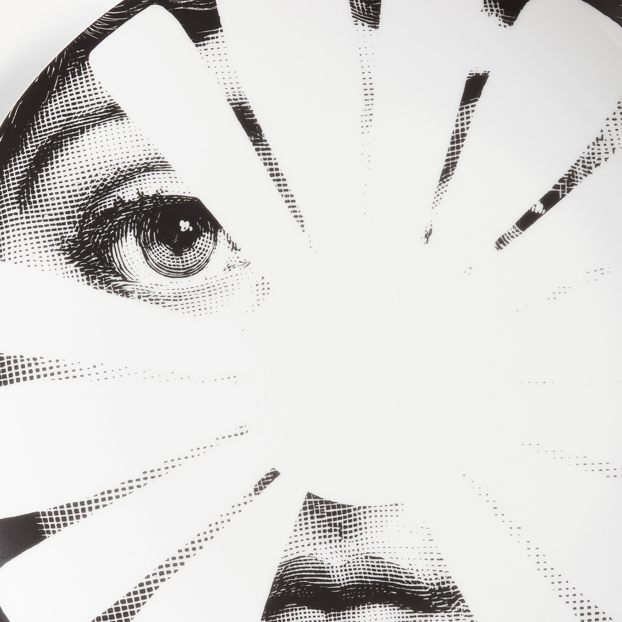 Wall plate Tema e Variazioni n.37