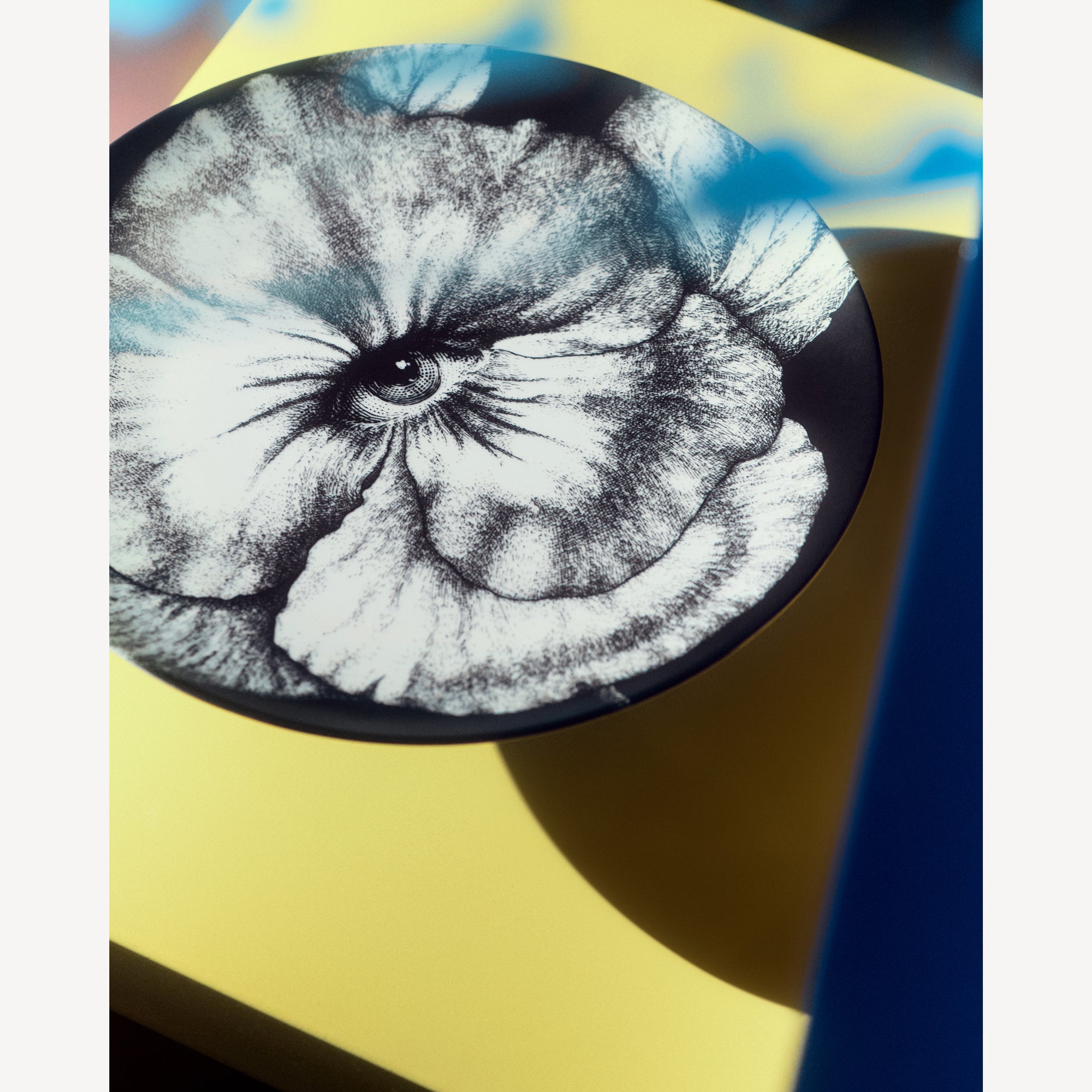 Piatto Tema e Variazioni n.92 