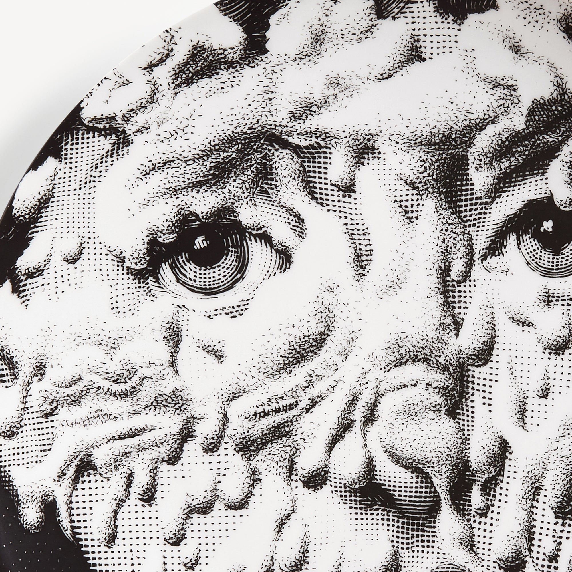 Wall plate Tema e Variazioni n.142