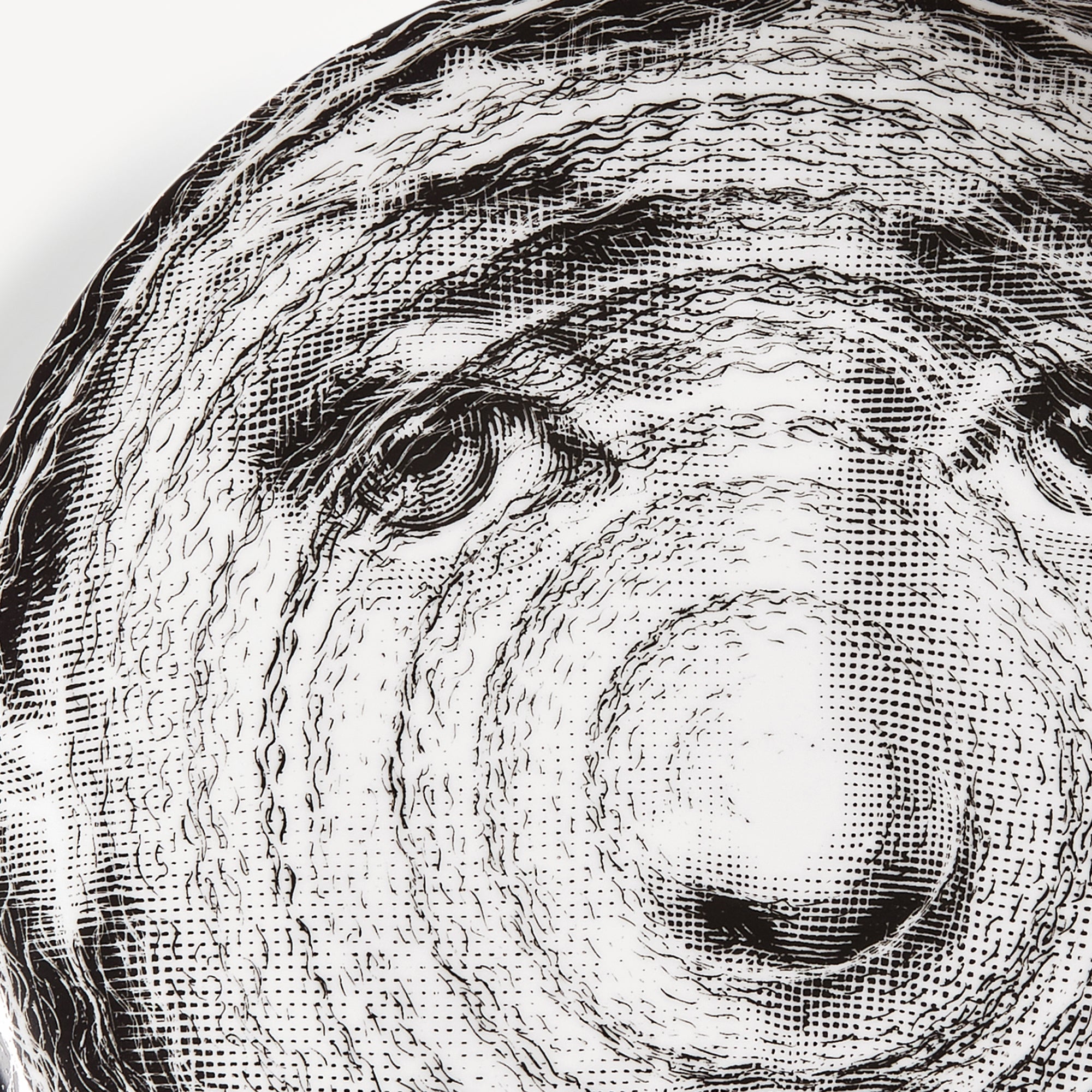 Wall plate Tema e Variazioni n.188