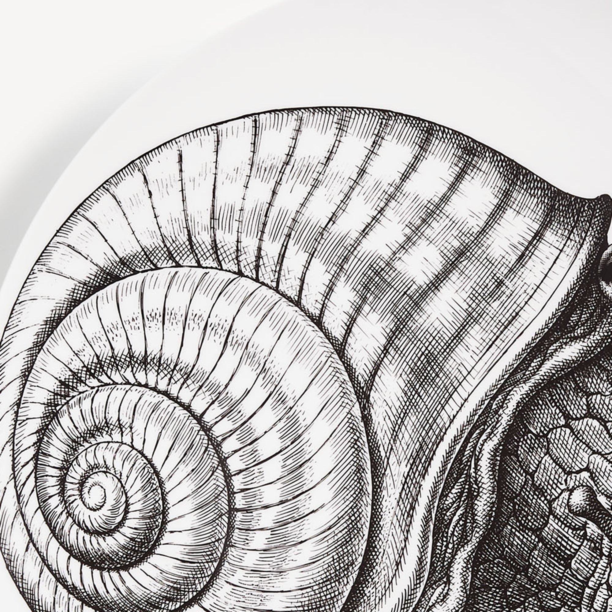 Wall plate Tema e Variazioni n.260