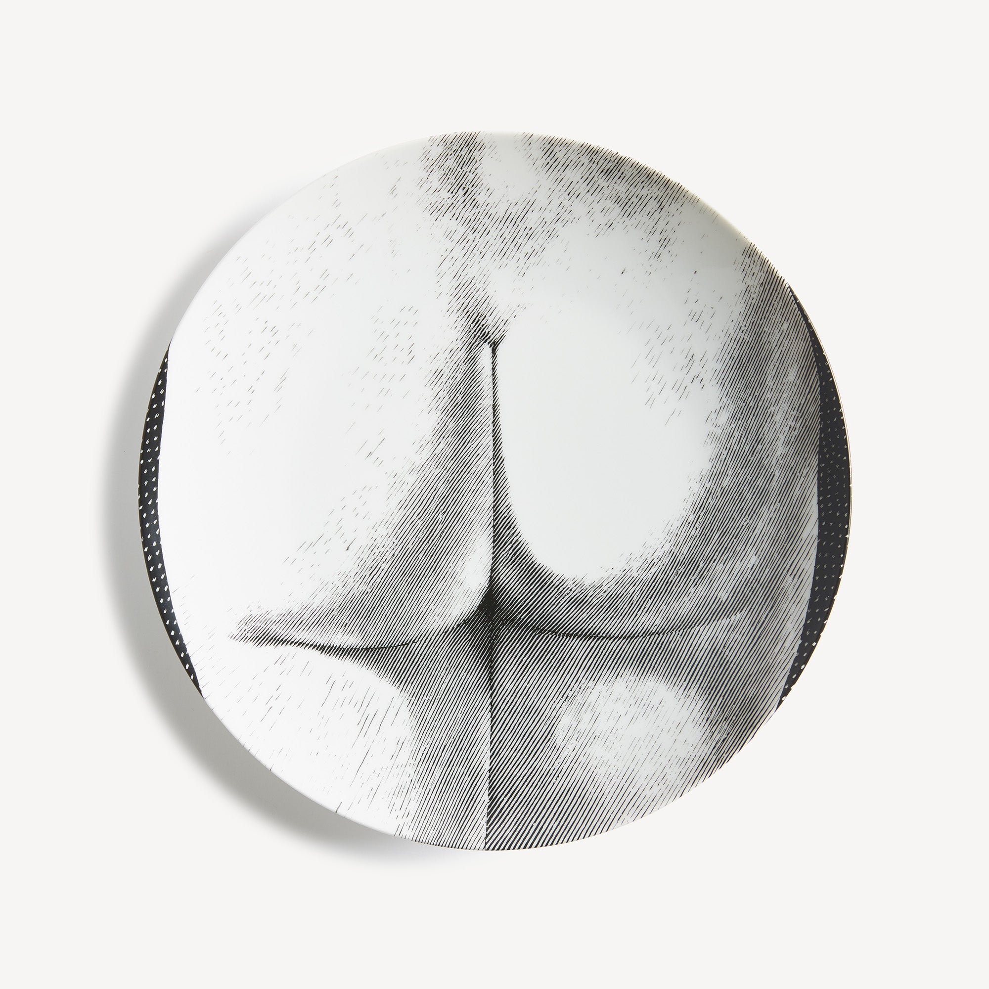 Piatto Tema e Variazioni n.306 