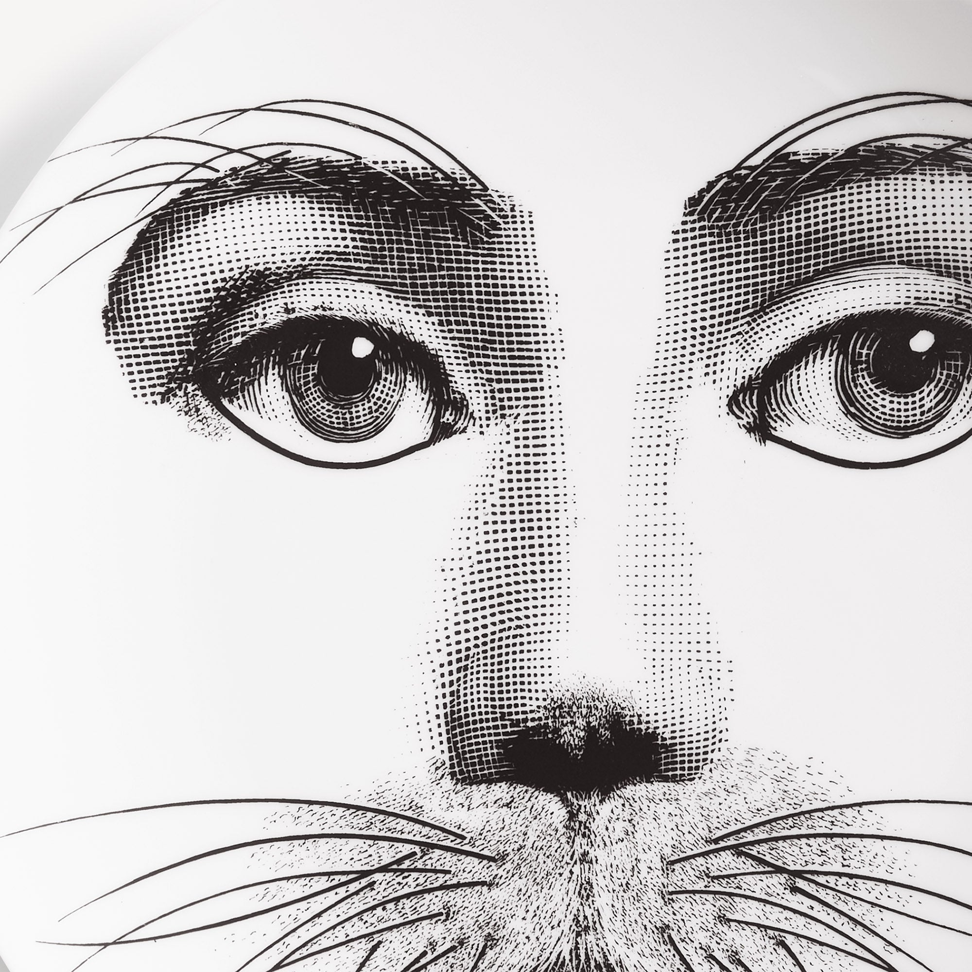 Wall plate Tema e Variazioni n.311