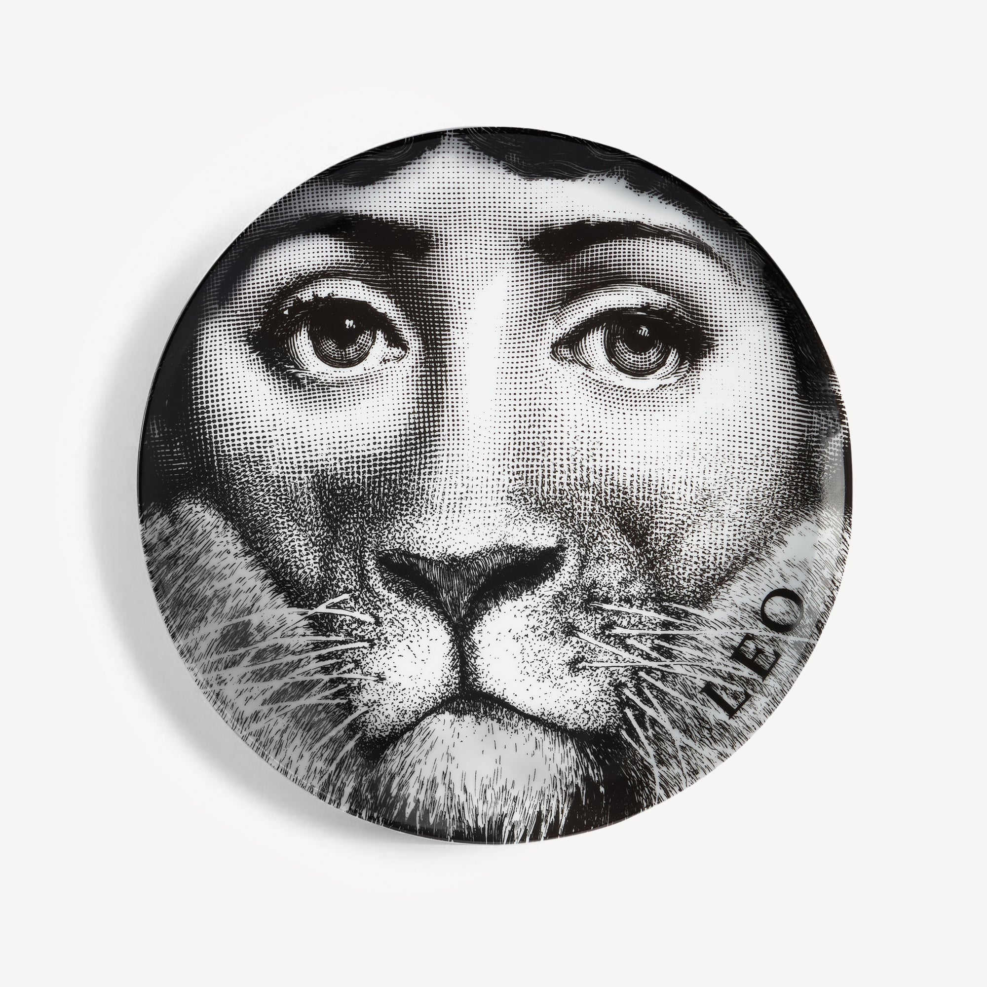 Fornasetti Planetarium | Play and Explore Fornasetti Comsogony