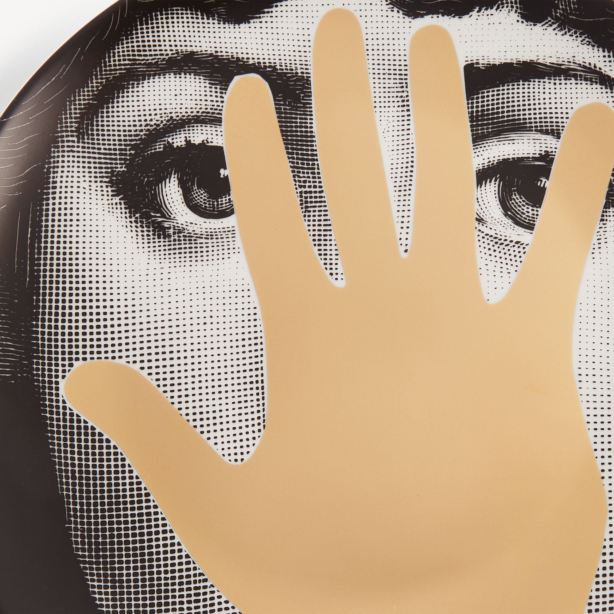 Wall plate Tema e Variazioni n.16