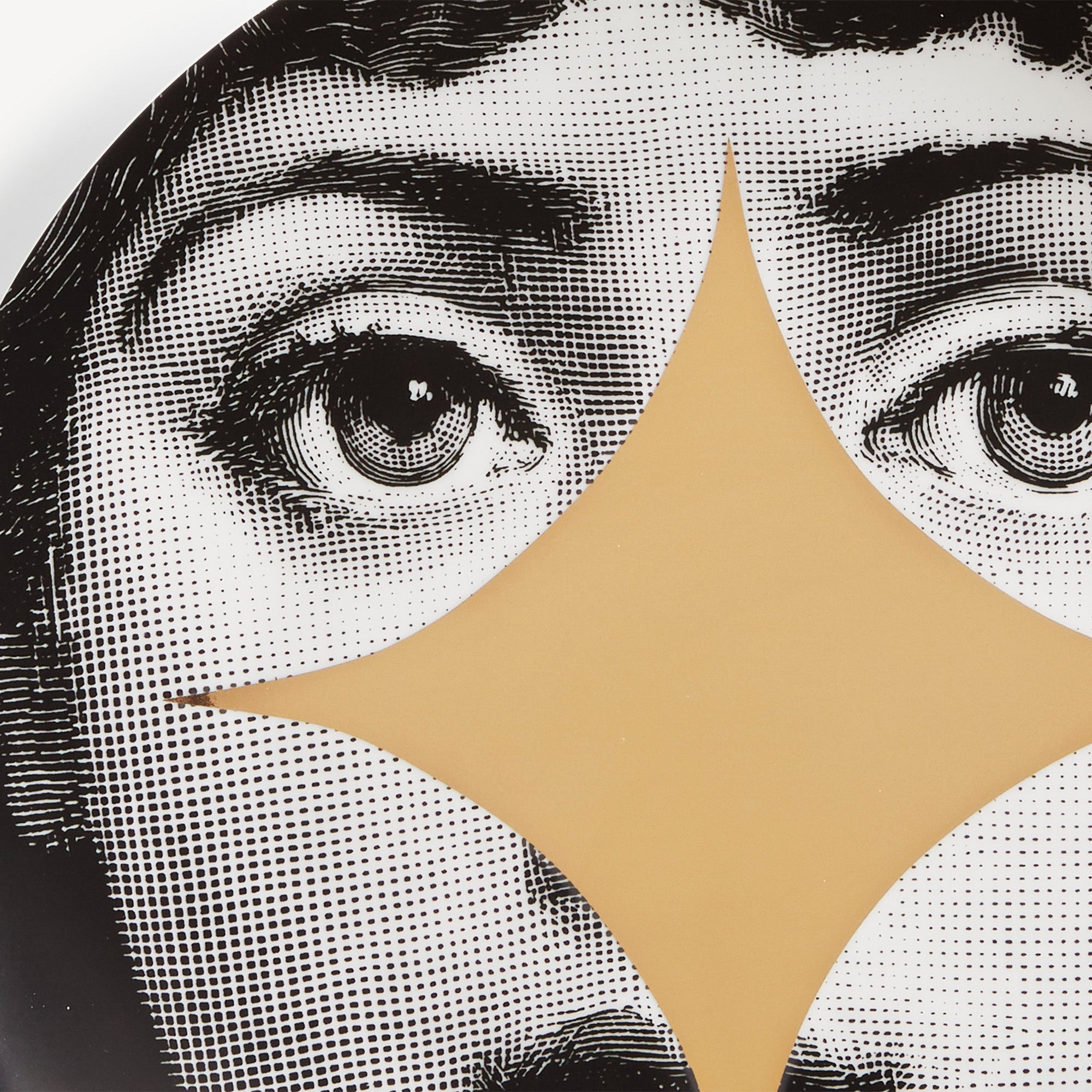 Wall plate Tema e Variazioni n.42