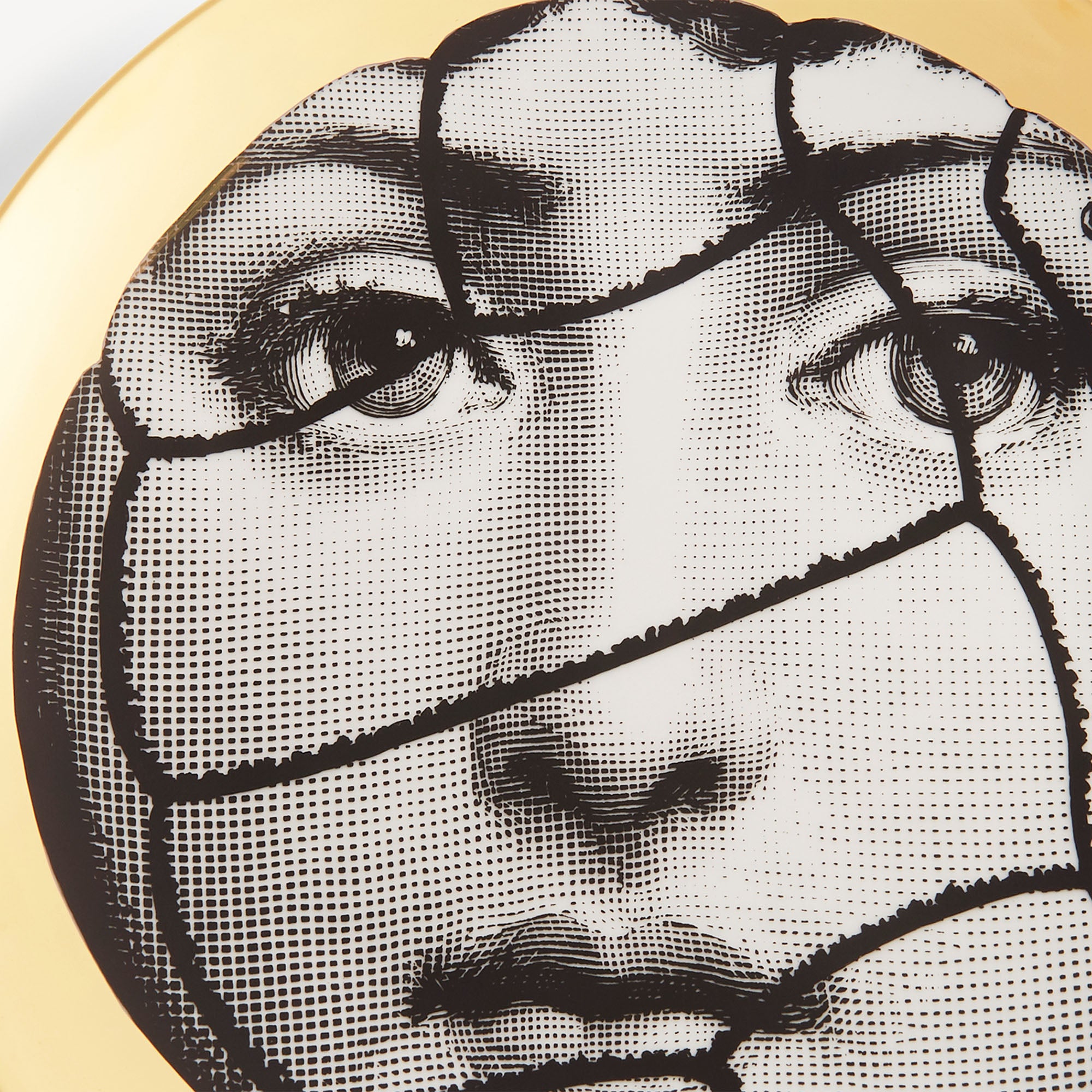 Wall plate Tema e Variazioni n.117