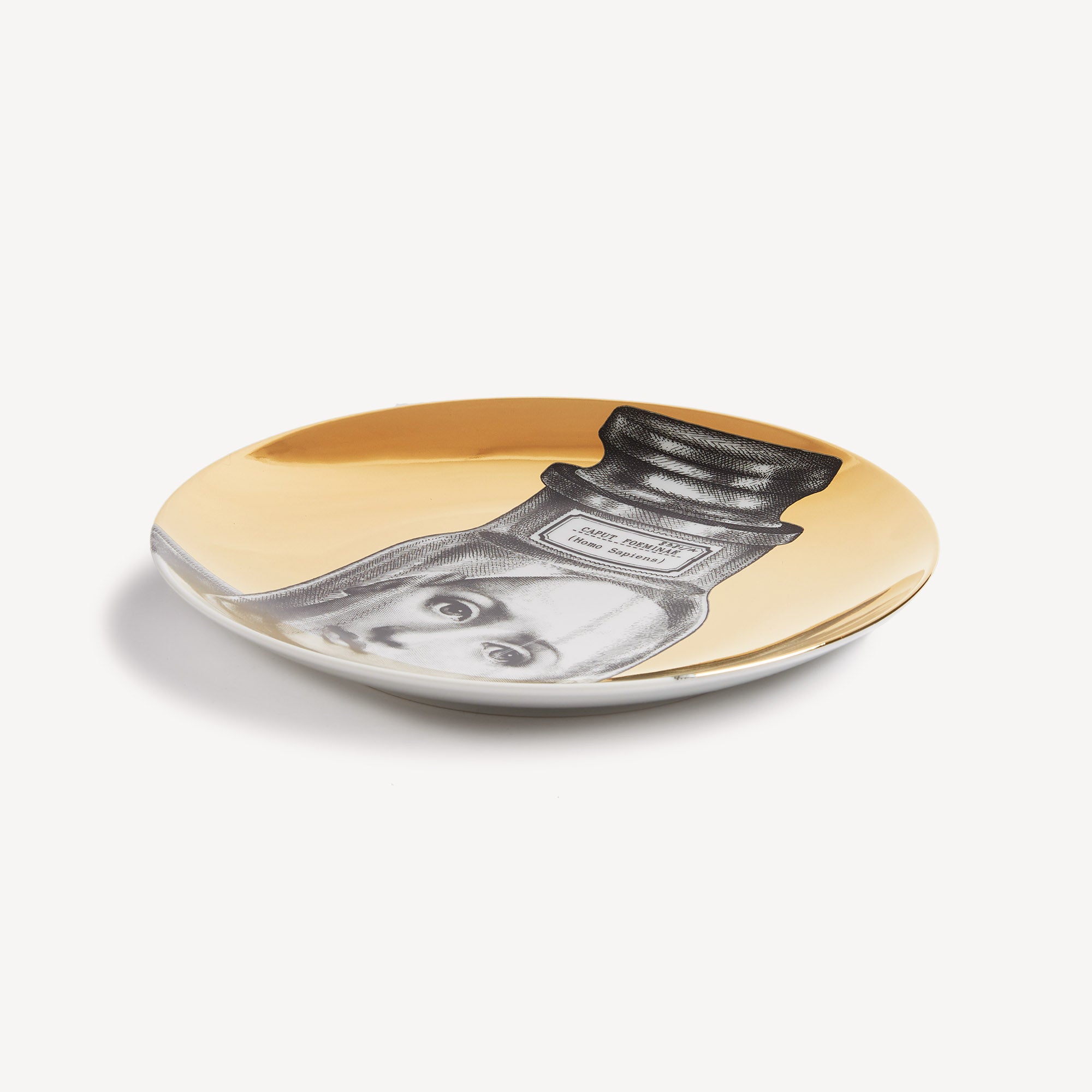 Wall plate Tema e Variazioni n.166