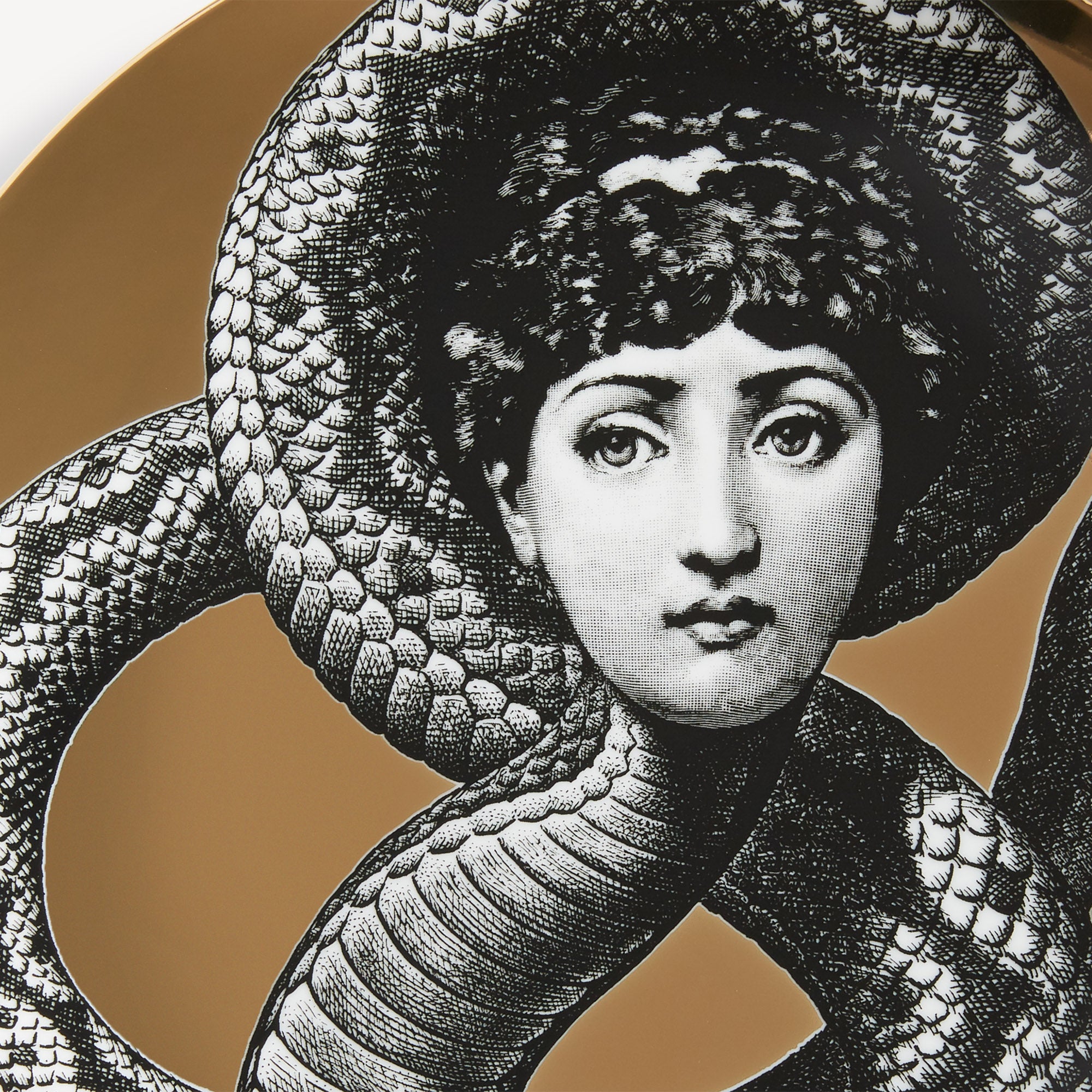 Wall plate Tema e Variazioni n.198