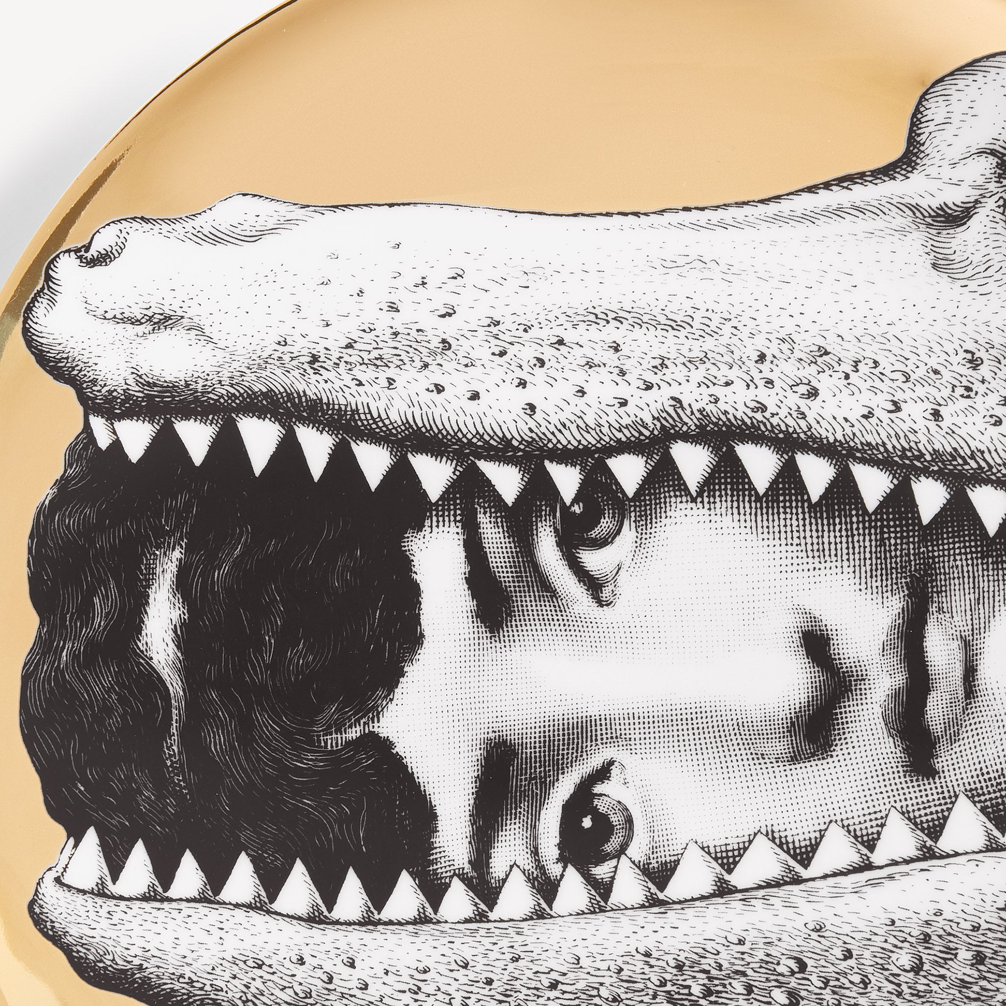 Wall plate Tema e Variazioni n.233