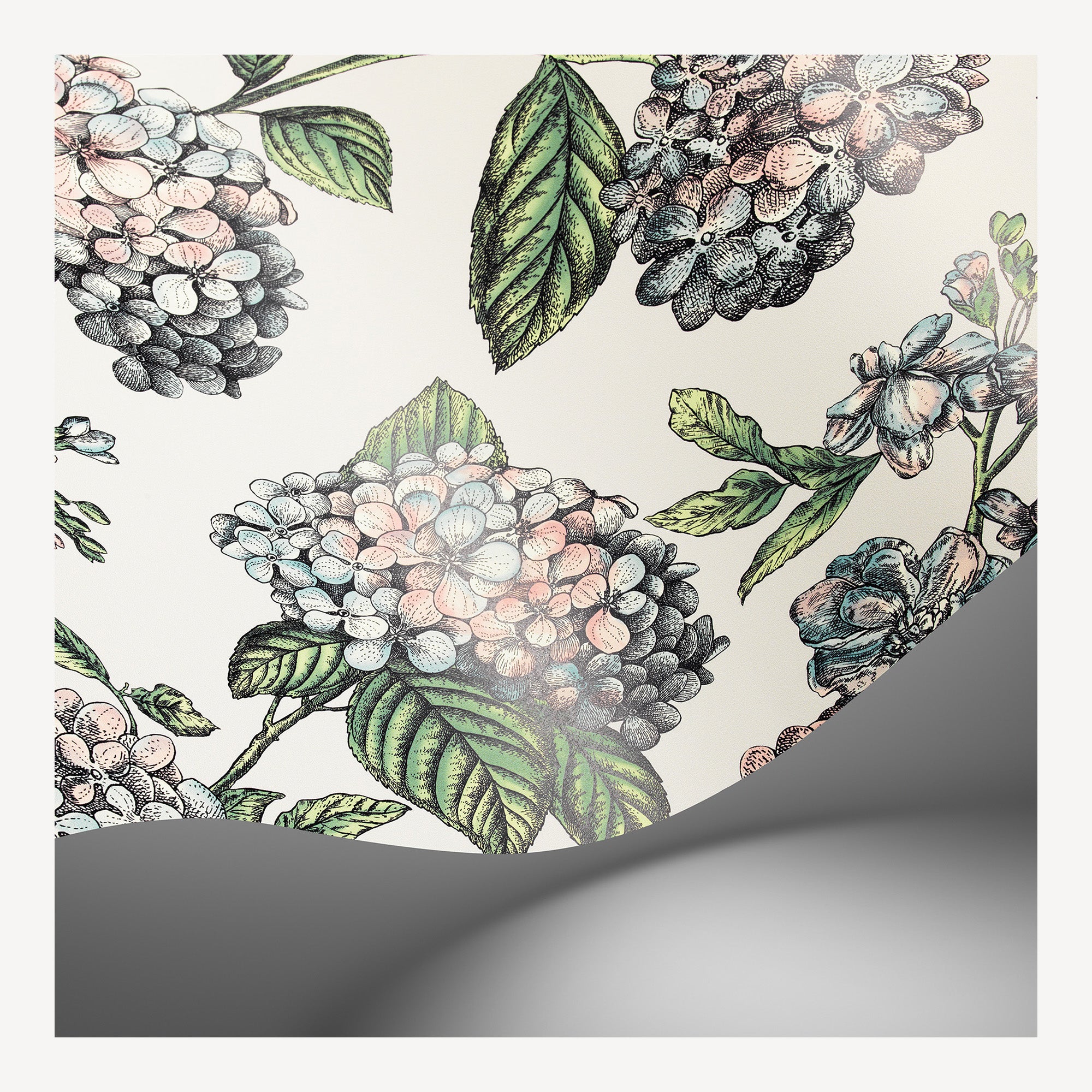 Wallpaper Ramo di Ortensia