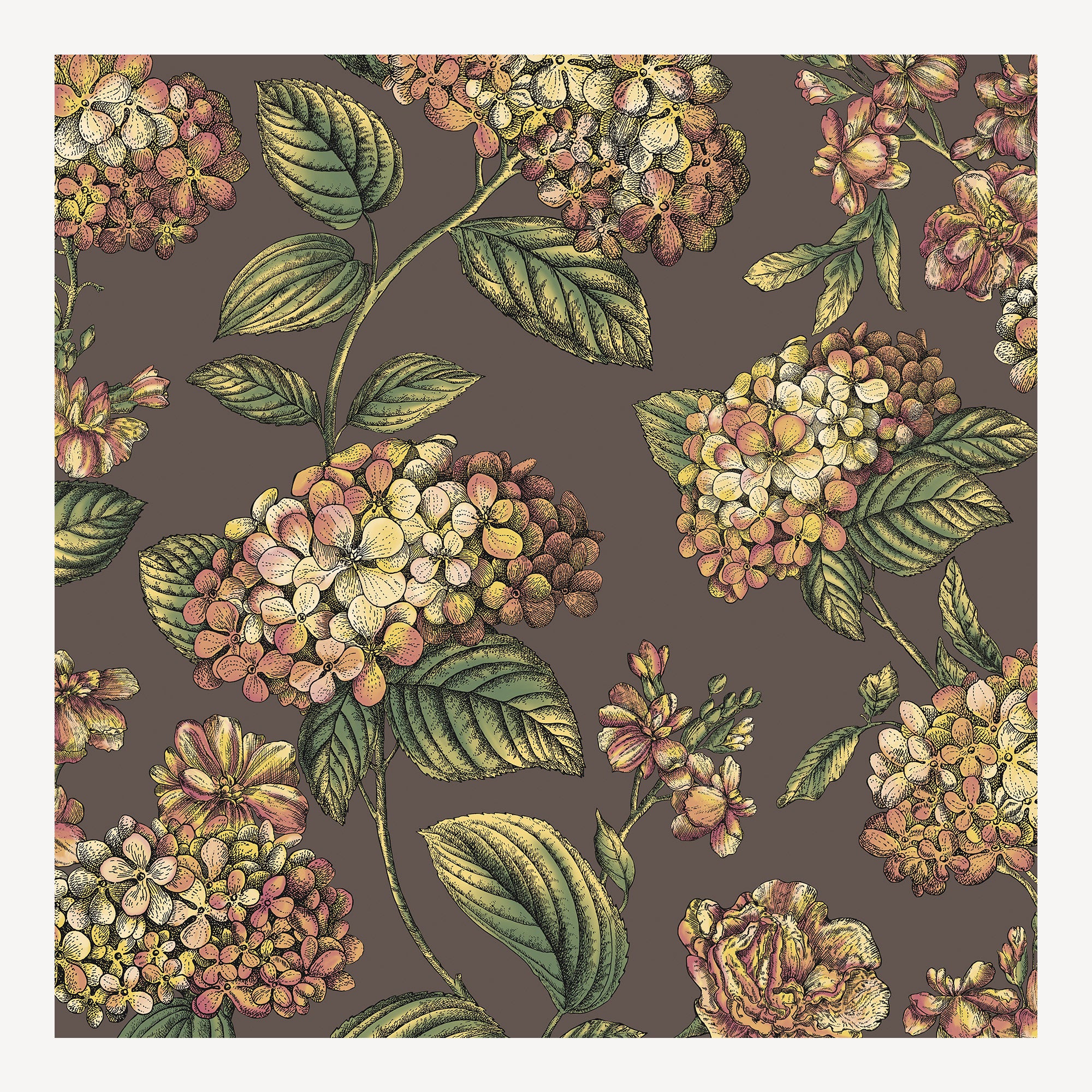 Wallpaper Ramo di Ortensia