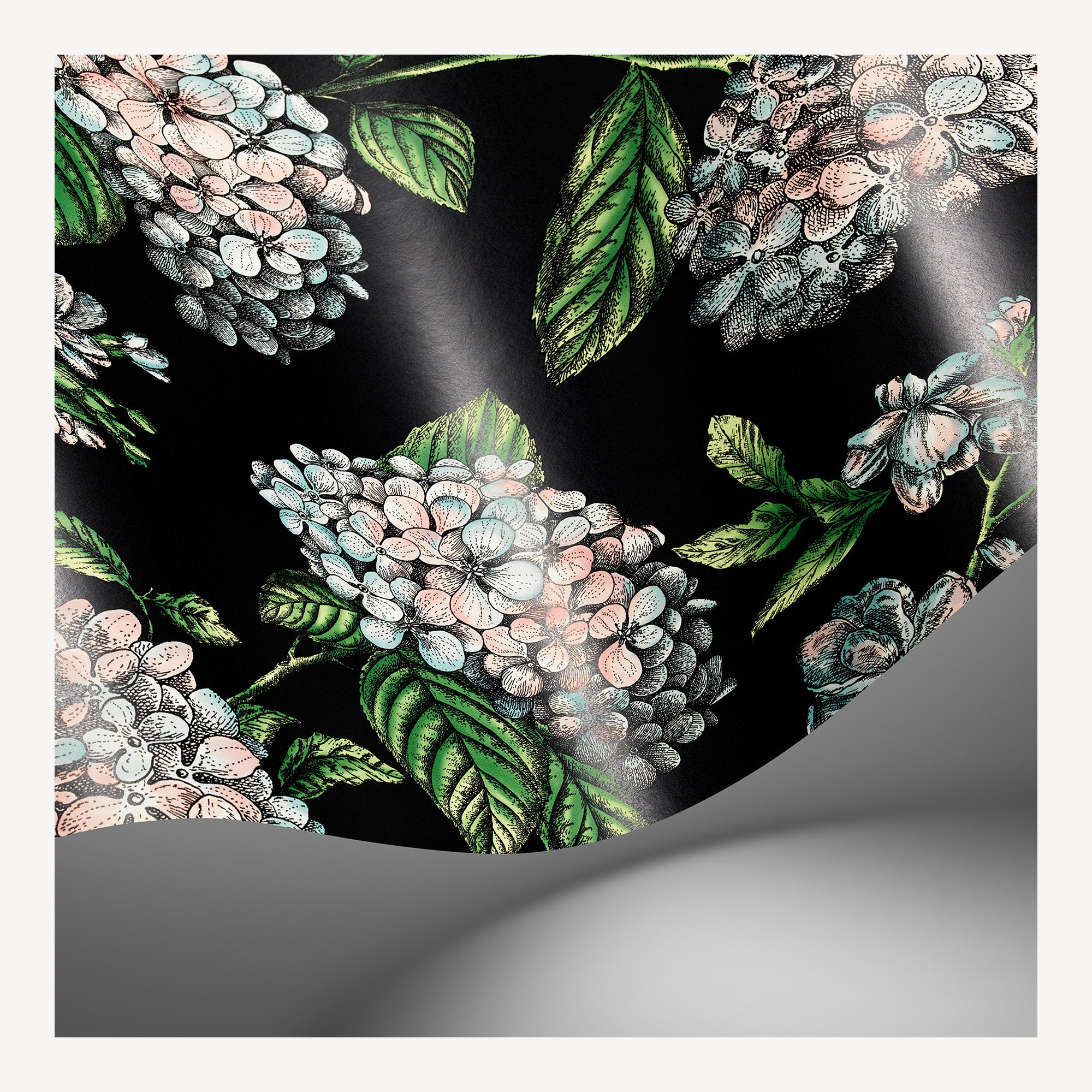 Wallpaper Ramo di Ortensia