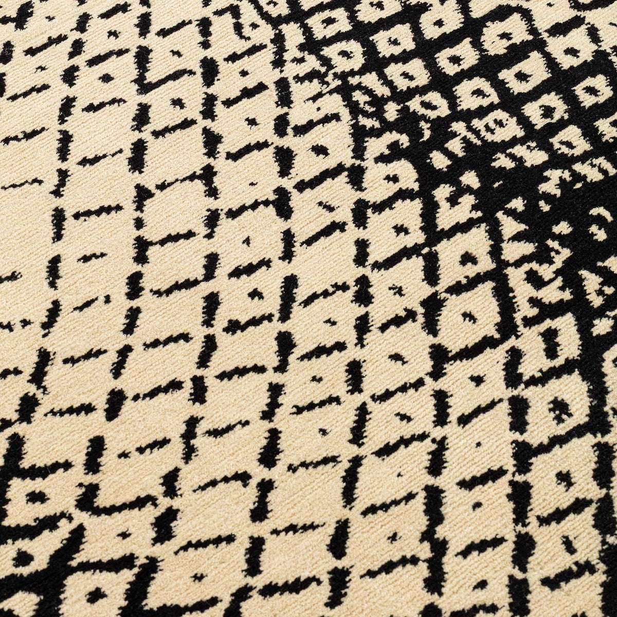 Rug Mano con moneta